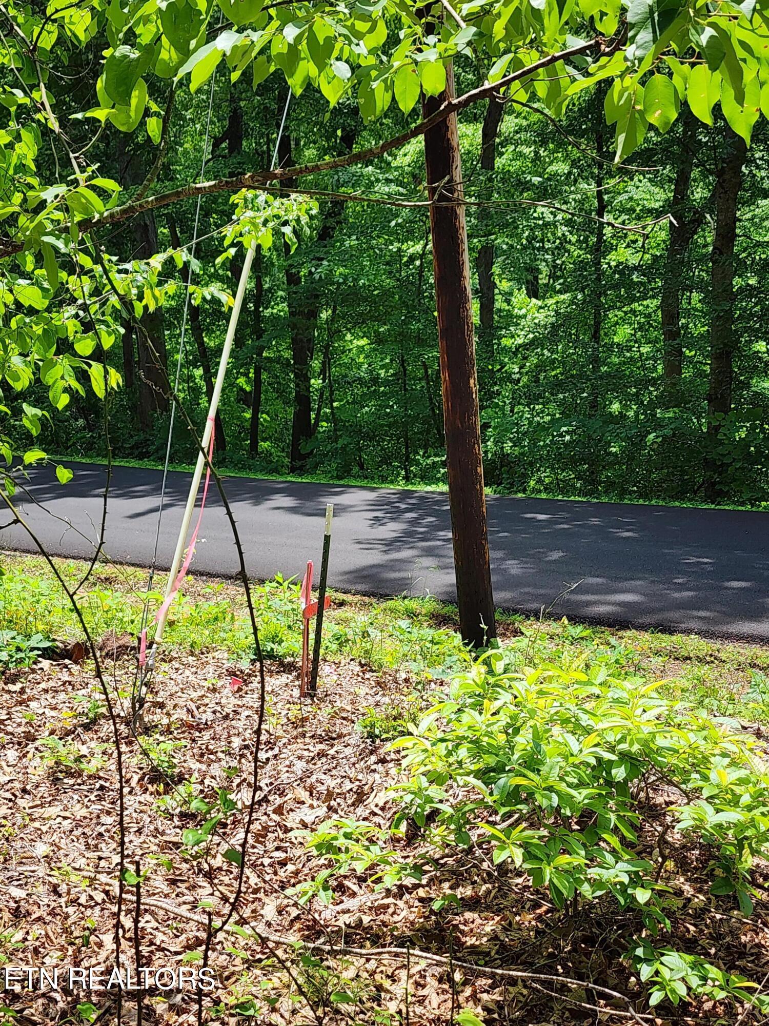 Hiwassee Drive Property Photo 4