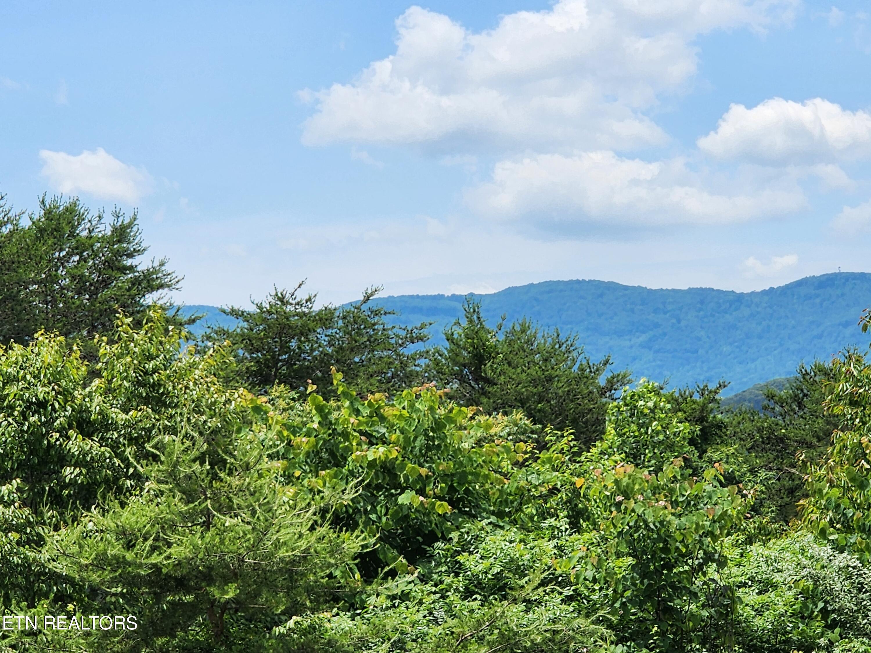 Hiwassee Drive Property Photo 19