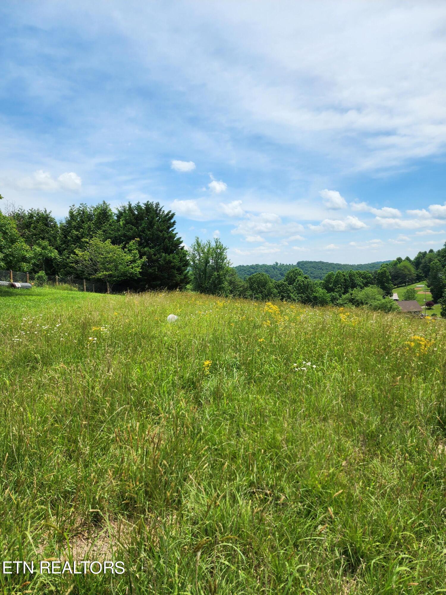 Hiwassee Drive Property Photo 20