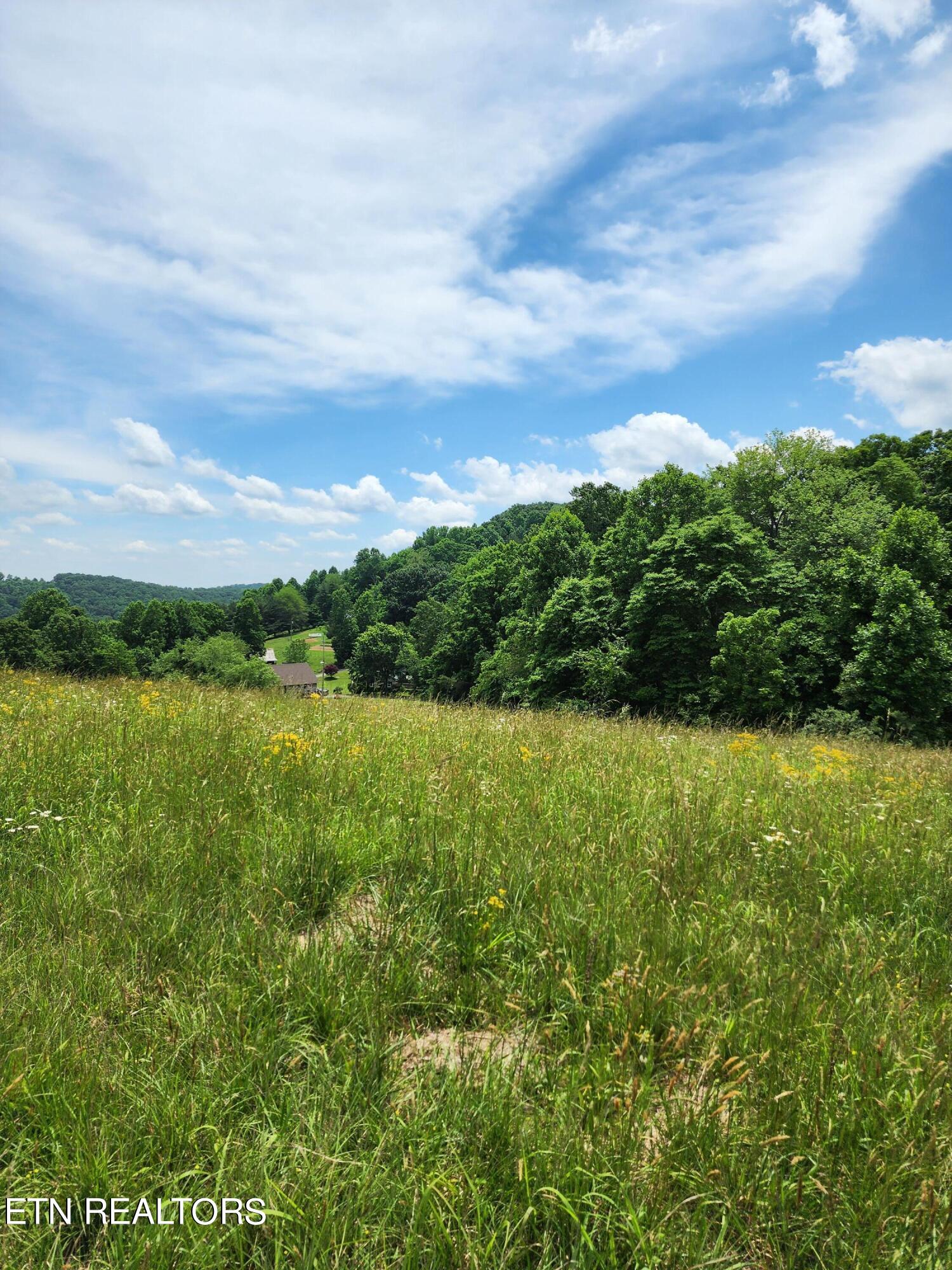 Hiwassee Drive Property Photo 21