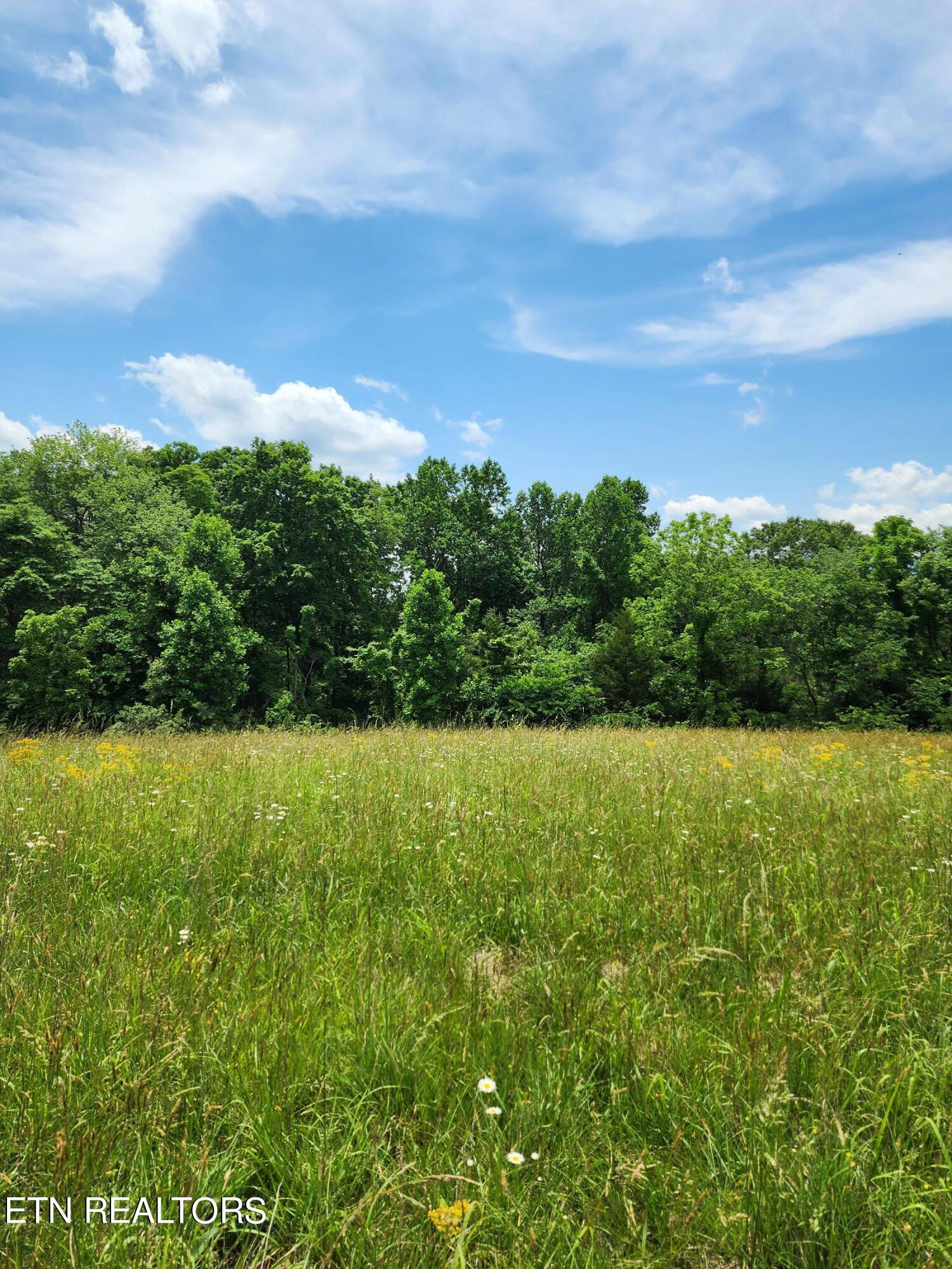 Hiwassee Drive Property Photo 22
