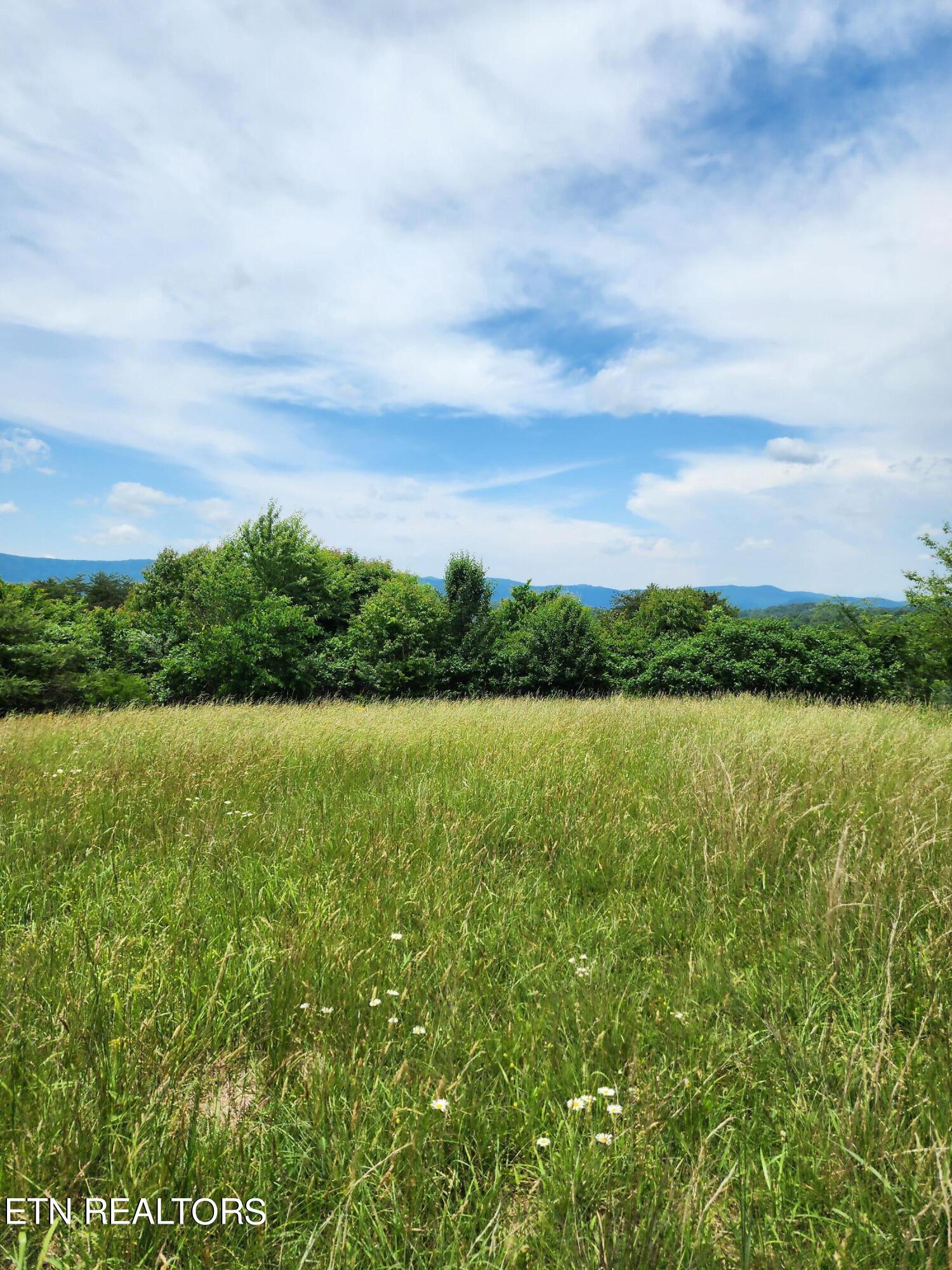 Hiwassee Drive Property Photo 23