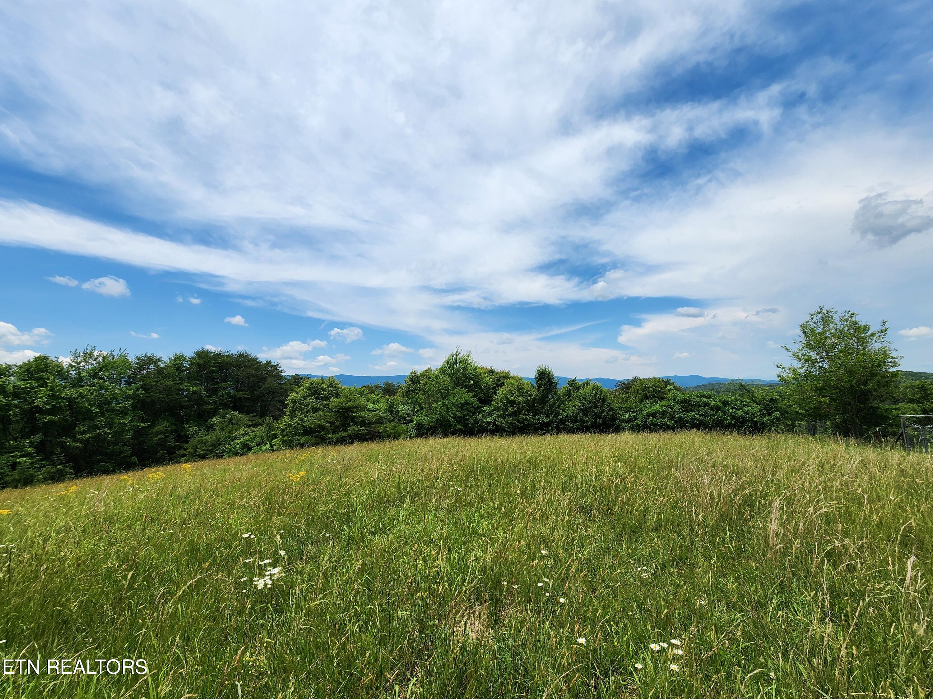 Hiwassee Drive Property Photo 24