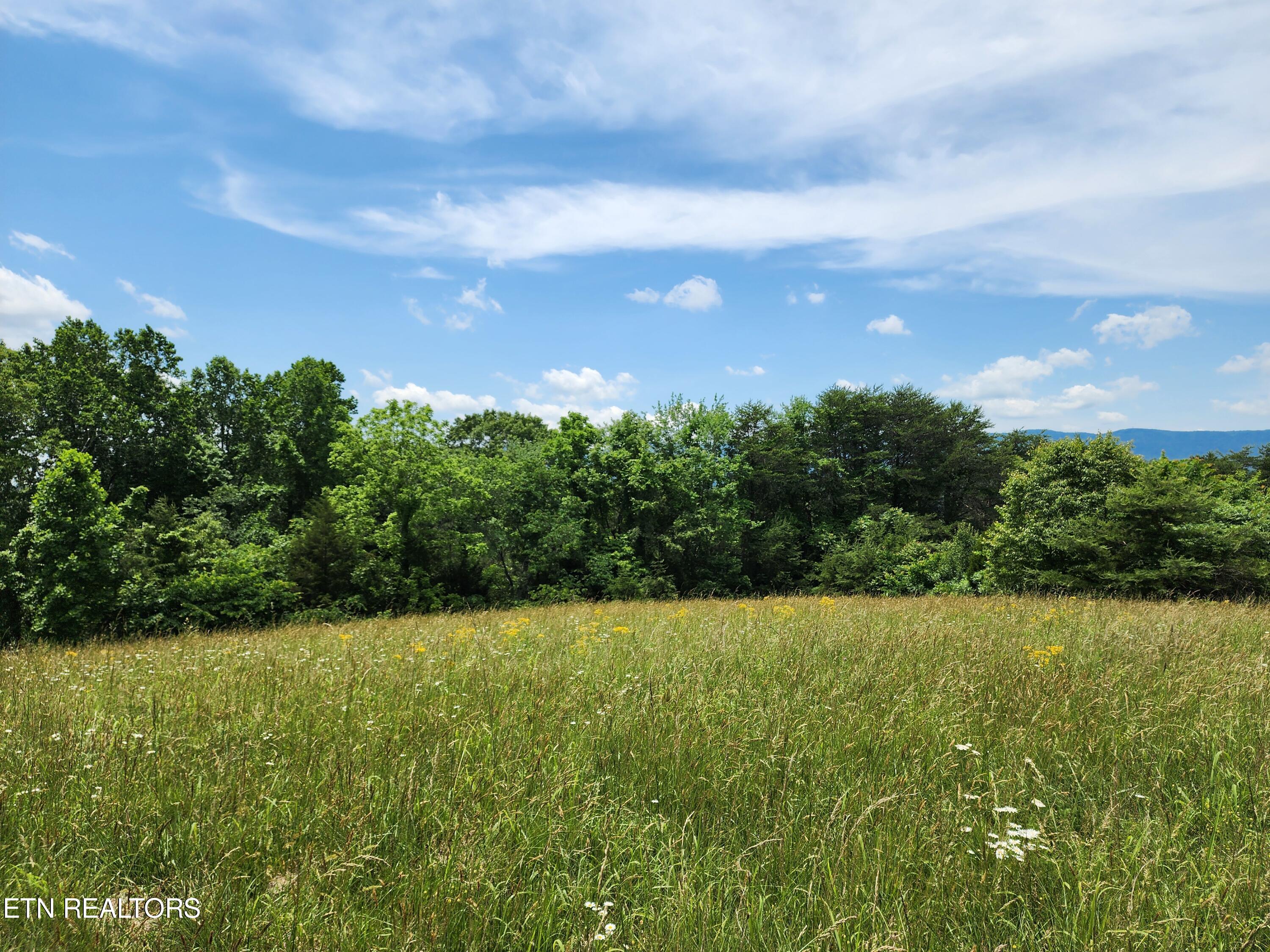 Hiwassee Drive Property Photo 25