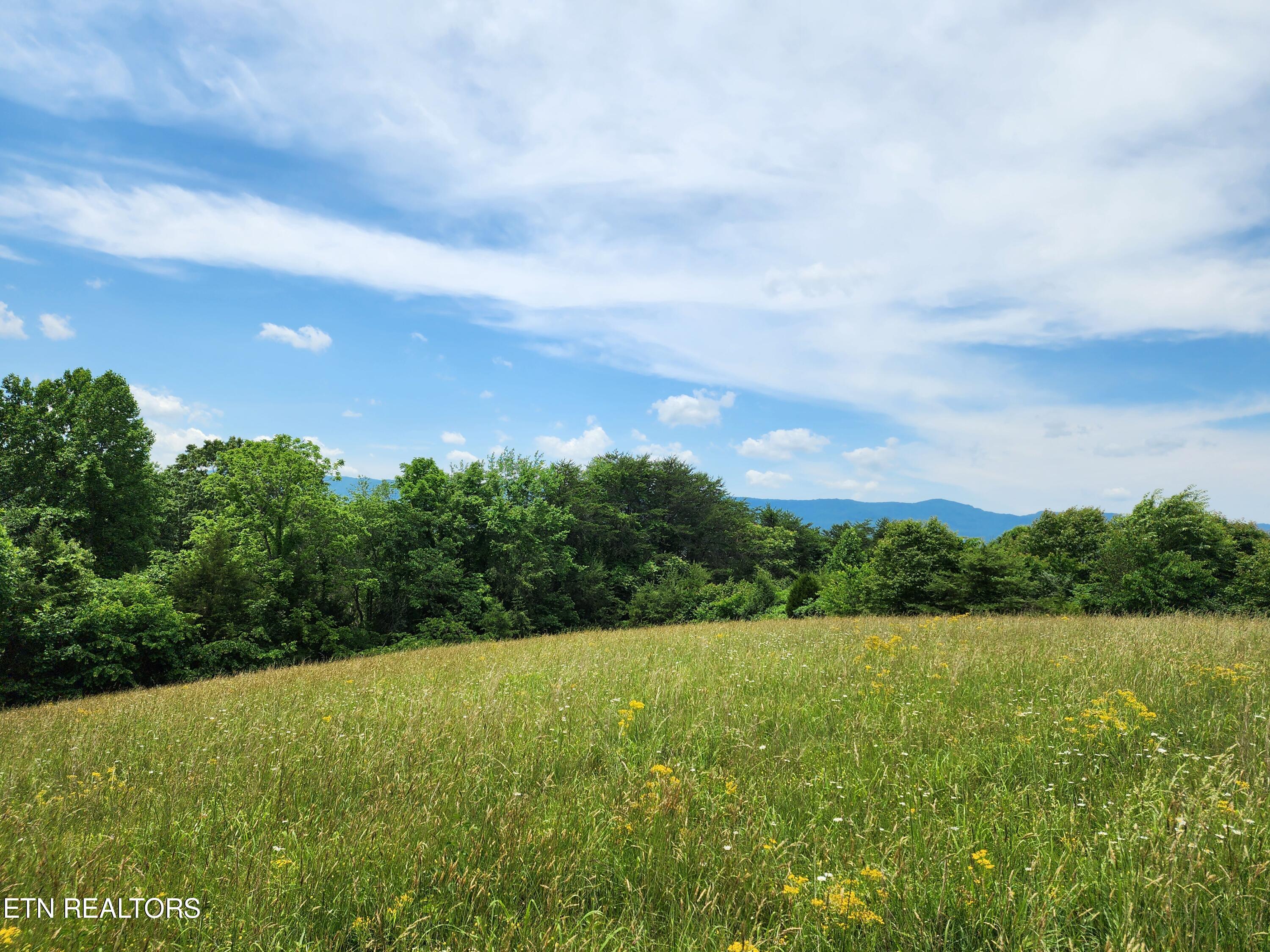 Hiwassee Drive Property Photo 26