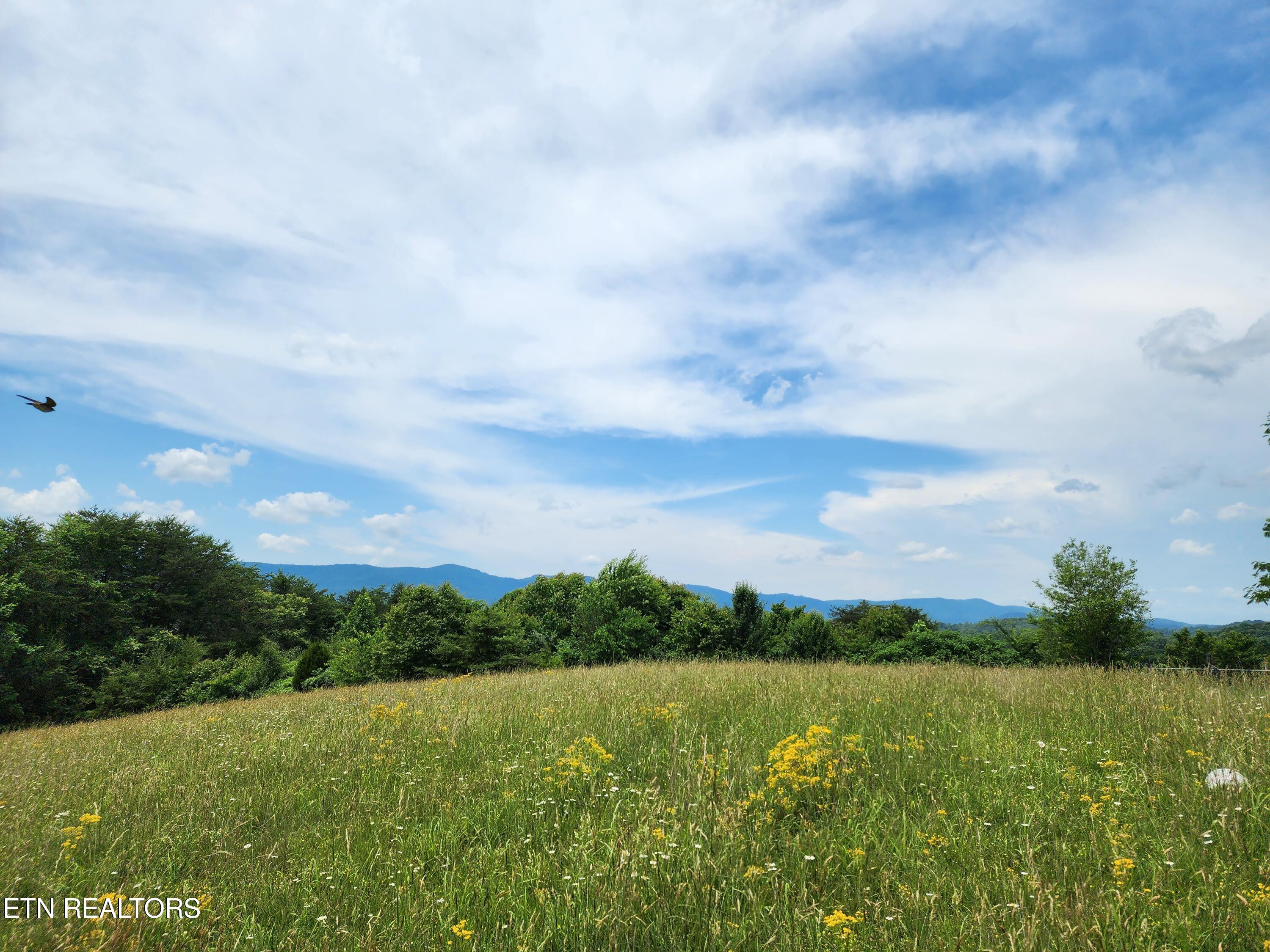 Hiwassee Drive Property Photo