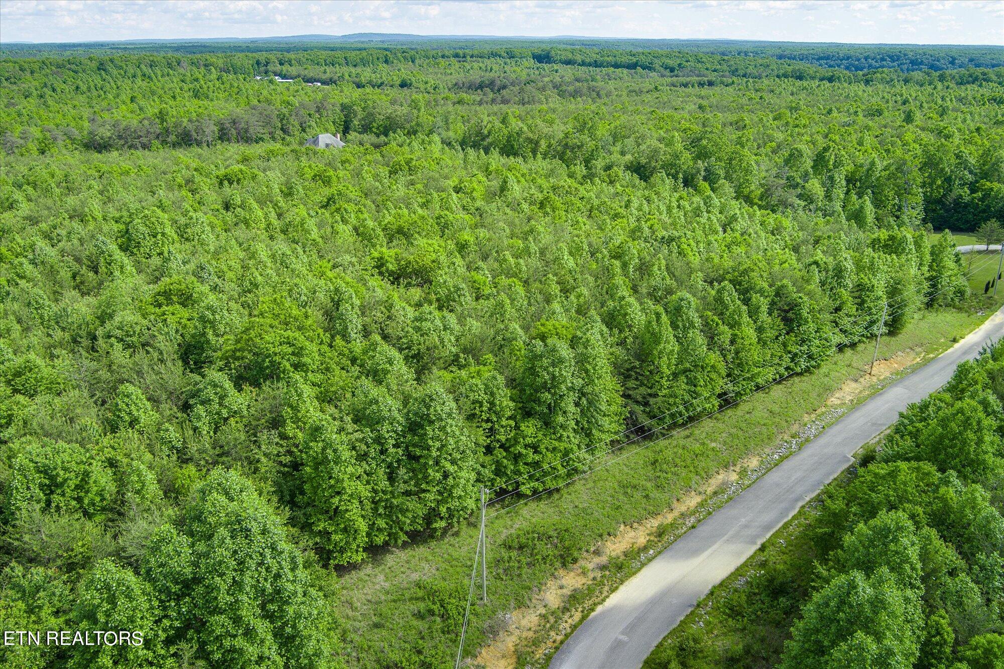0 Horseshoe Drive Property Photo 1