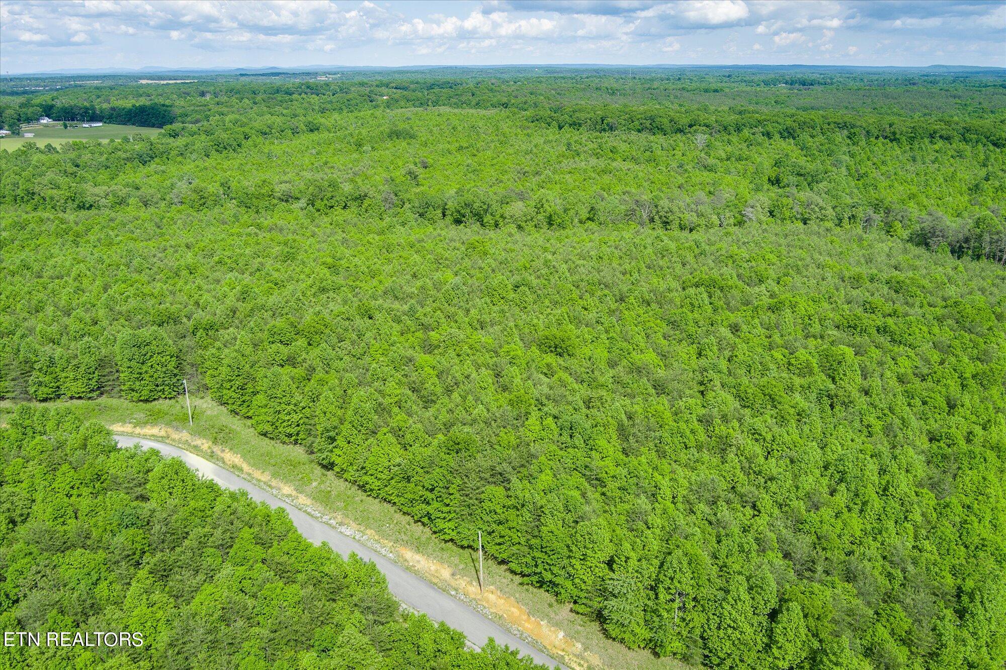 0 Horseshoe Drive Property Photo 4