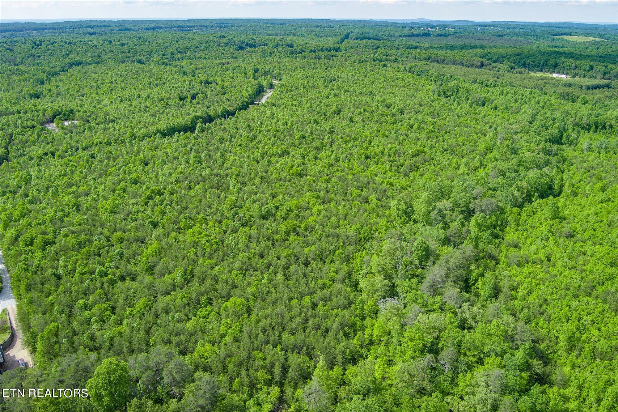 0 Horseshoe Drive Property Photo 5