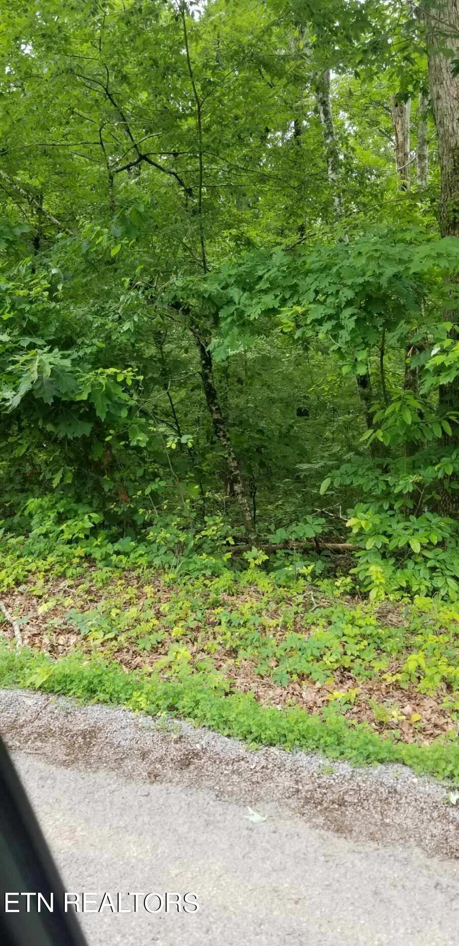 Lot 137 Randall Fugate Rd Property Photo 2