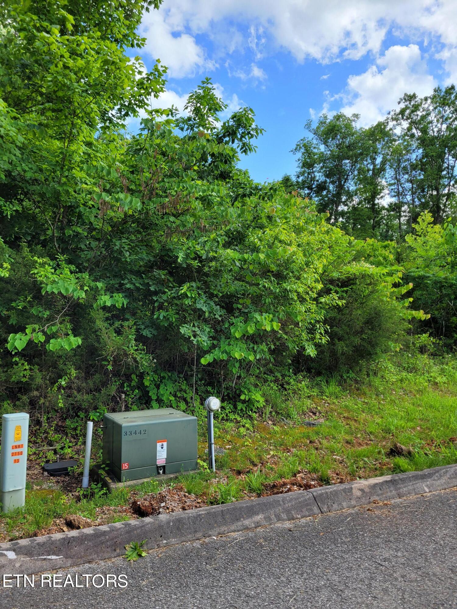 Eagles Ridge Property Photo 2