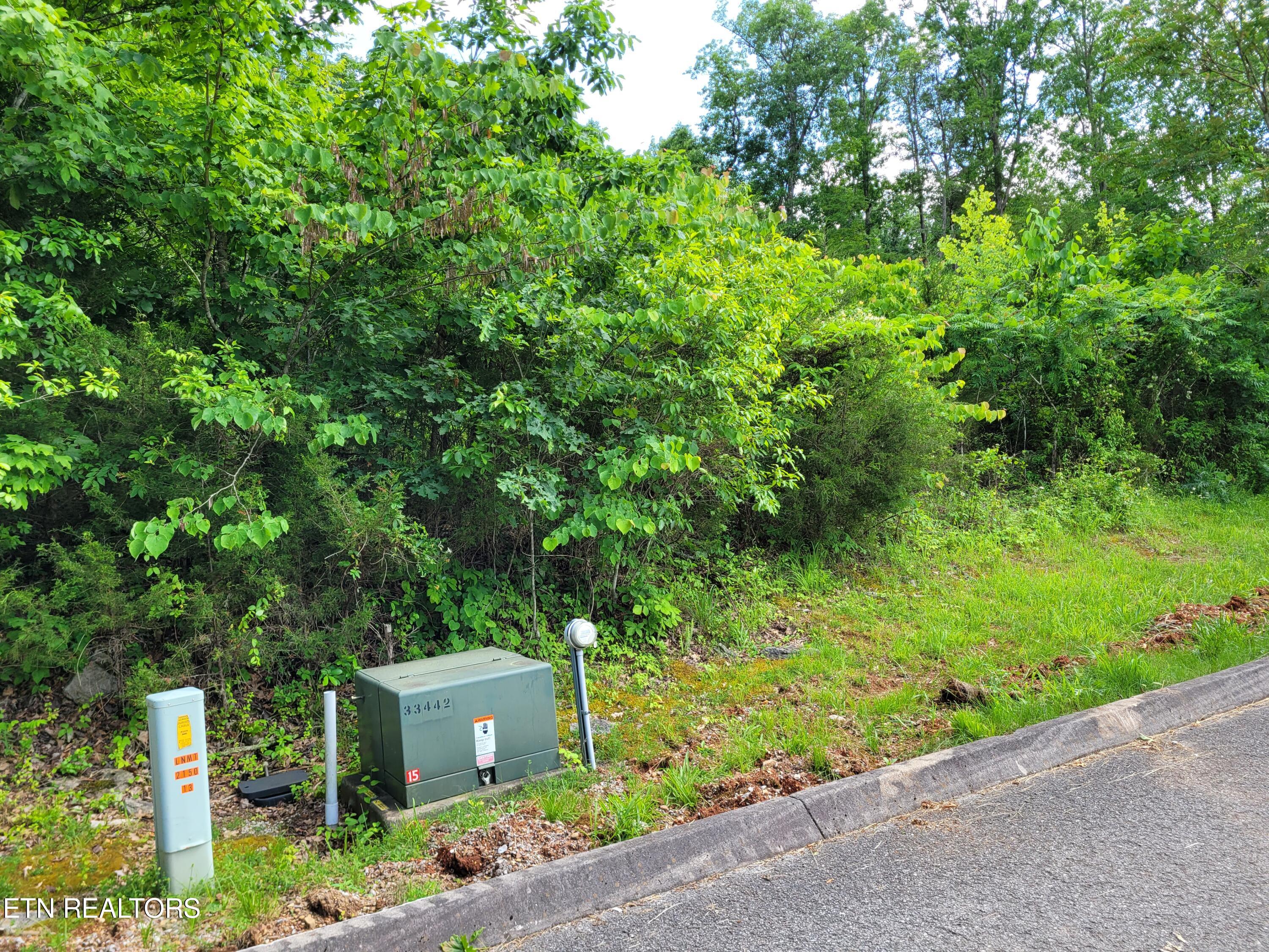 Eagles Ridge Property Photo 3
