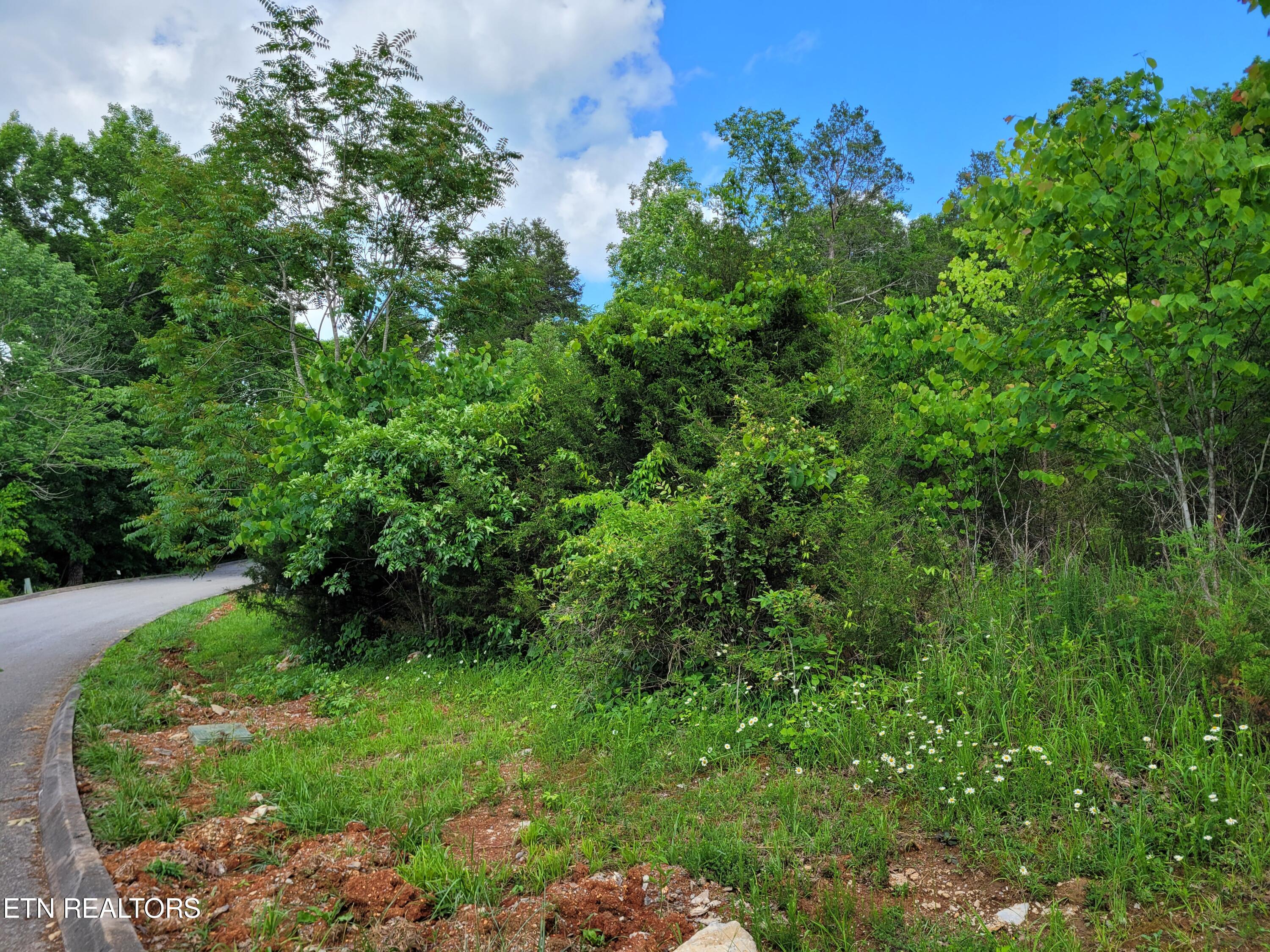 Eagles Ridge Property Photo 4