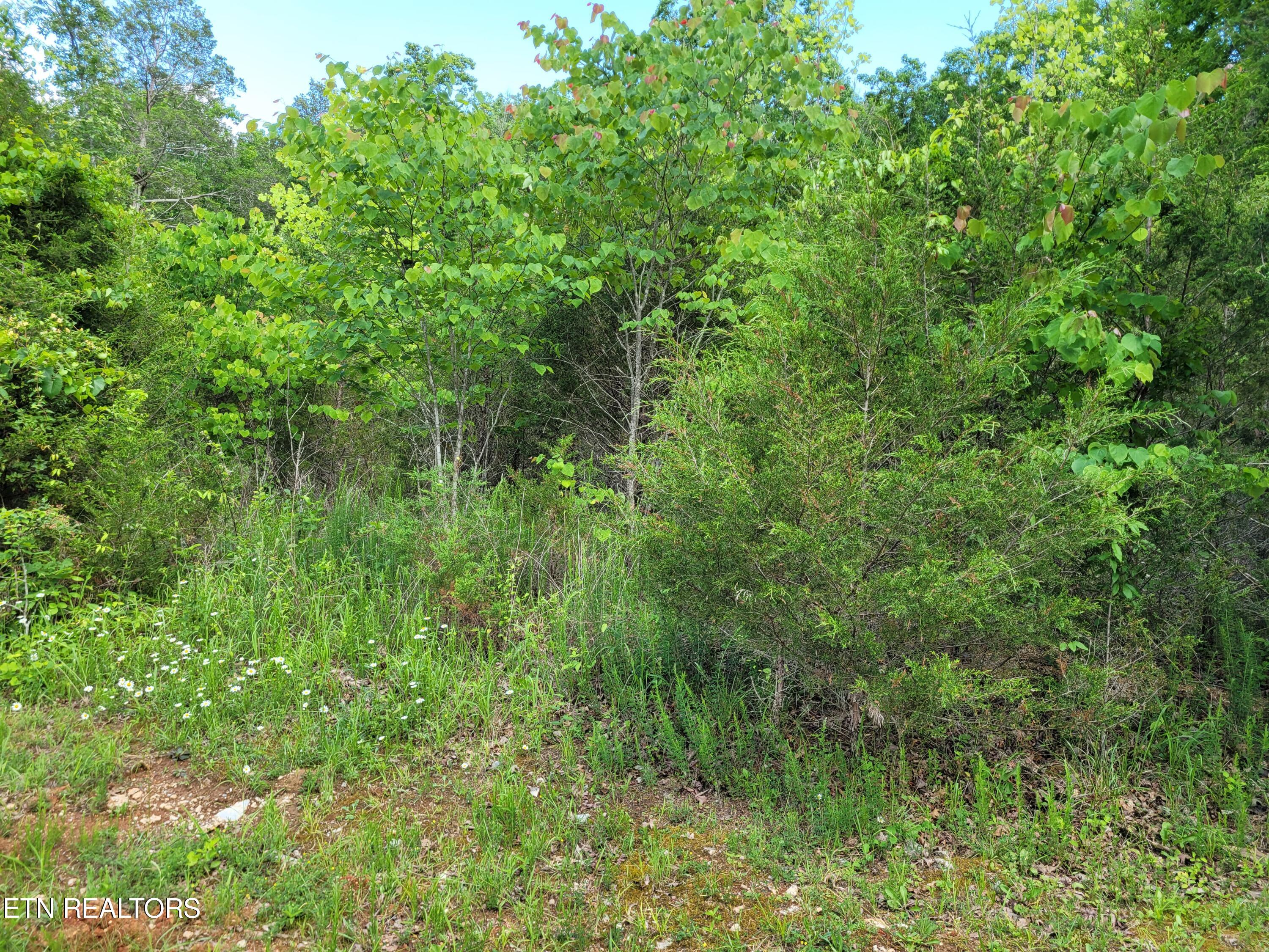 Eagles Ridge Property Photo 5