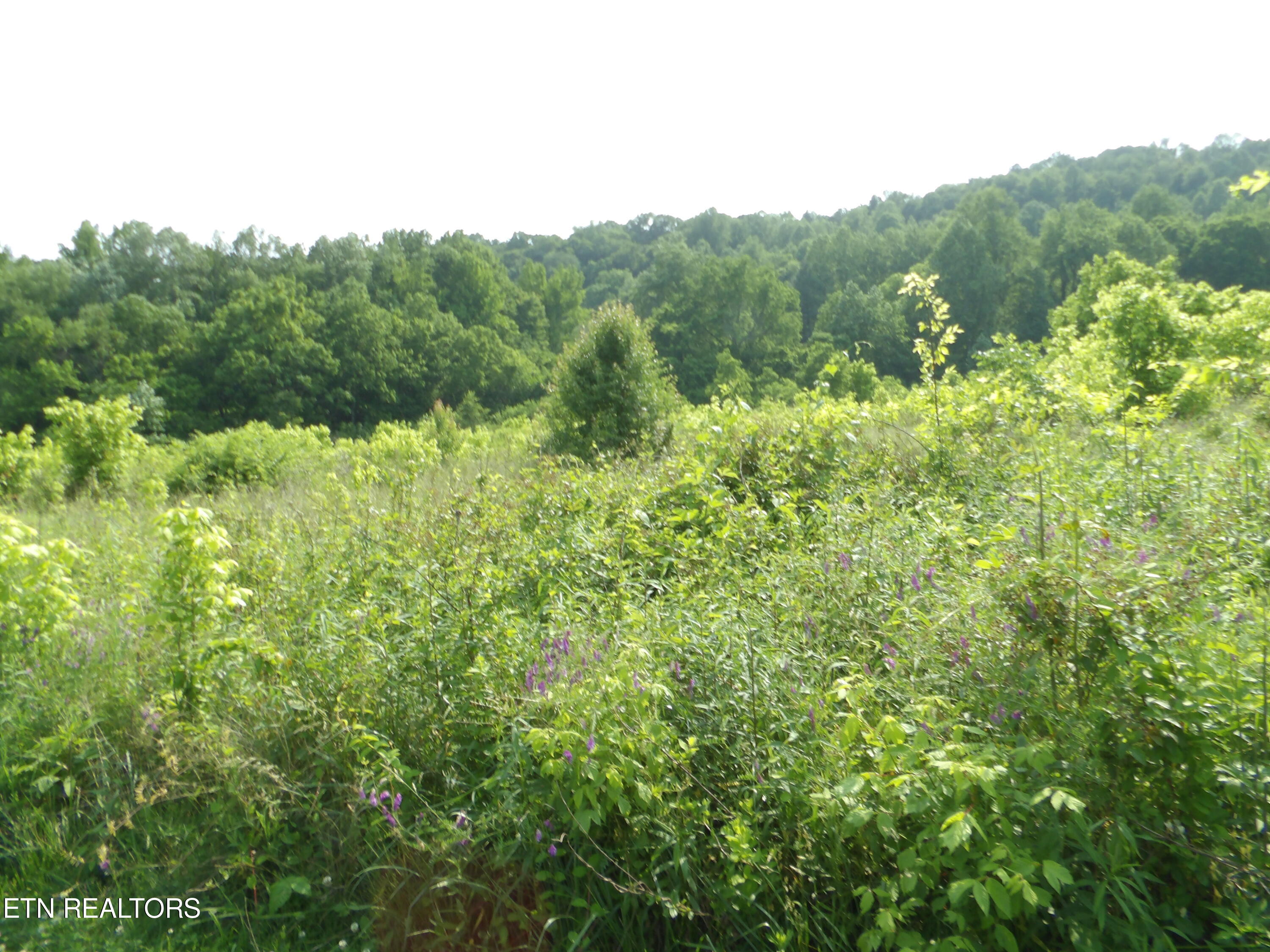5.6 Ac Lonnie Reecer Rd Property Photo 1