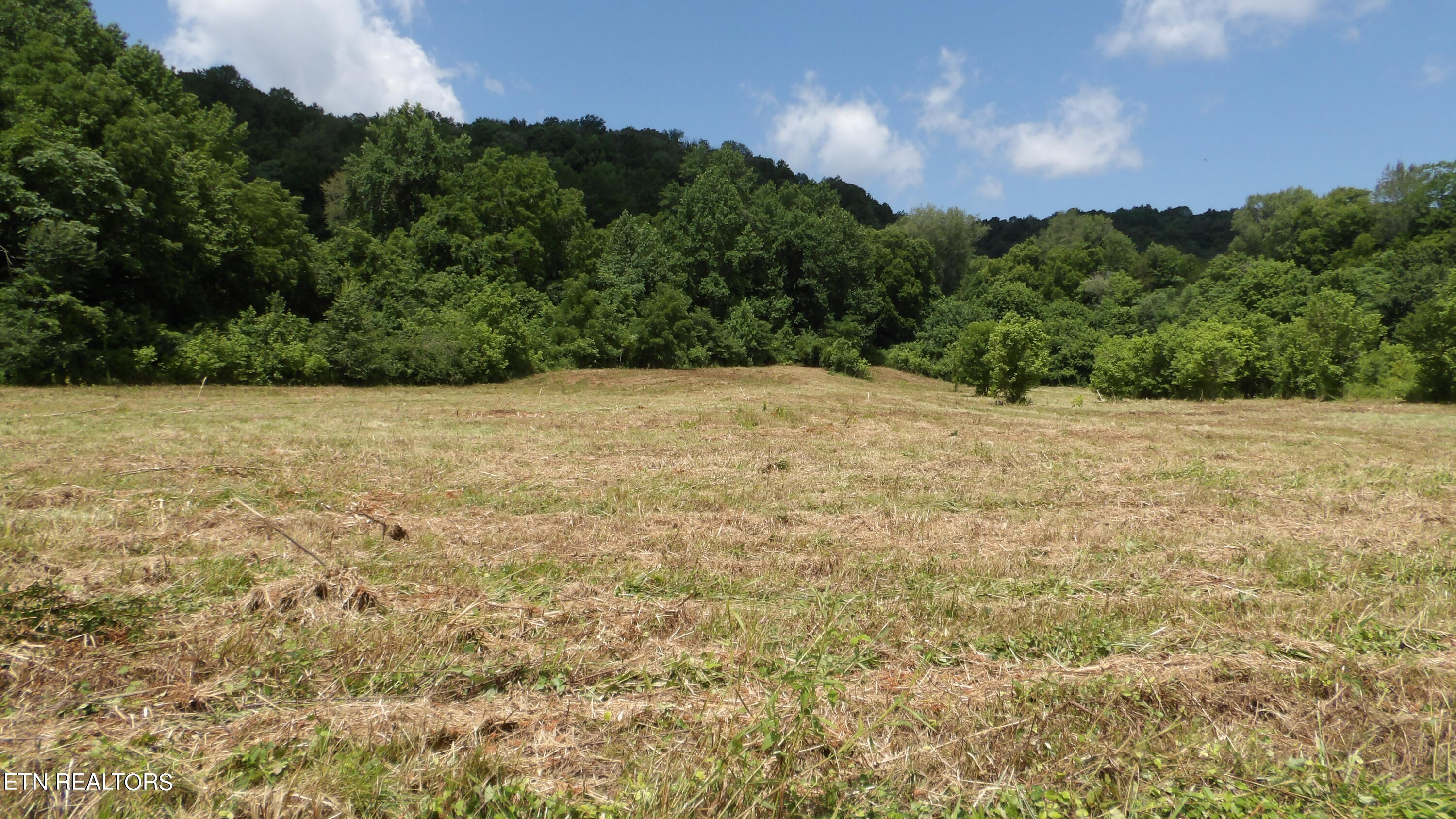 5.6 Ac Lonnie Reecer Rd Property Photo 2