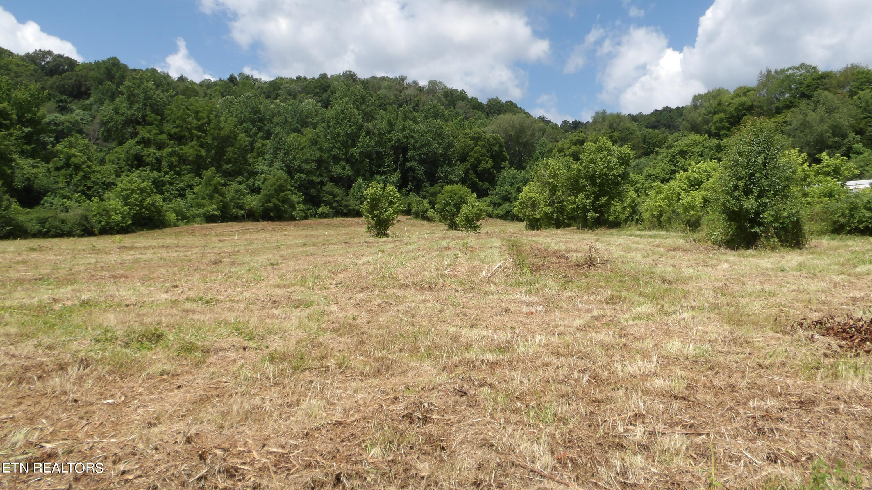 5.6 Ac Lonnie Reecer Rd Property Photo 3