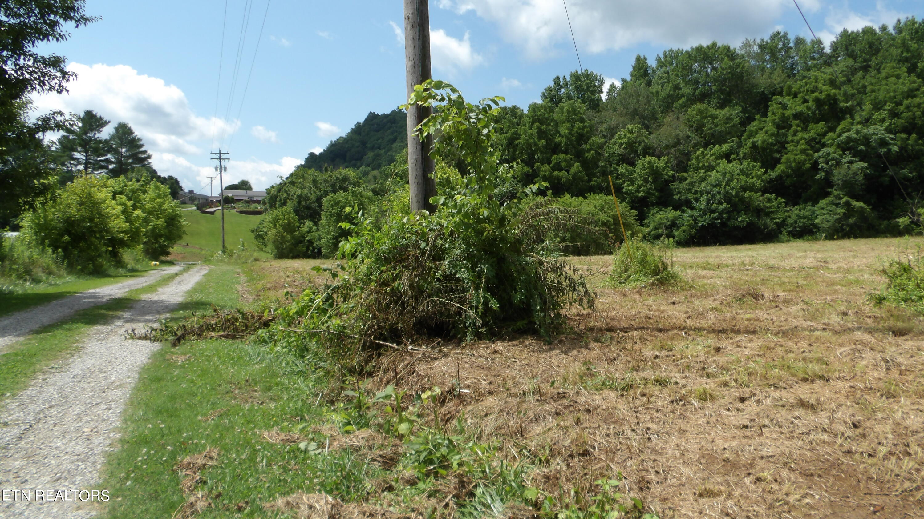 5.6 Ac Lonnie Reecer Rd Property Photo 4