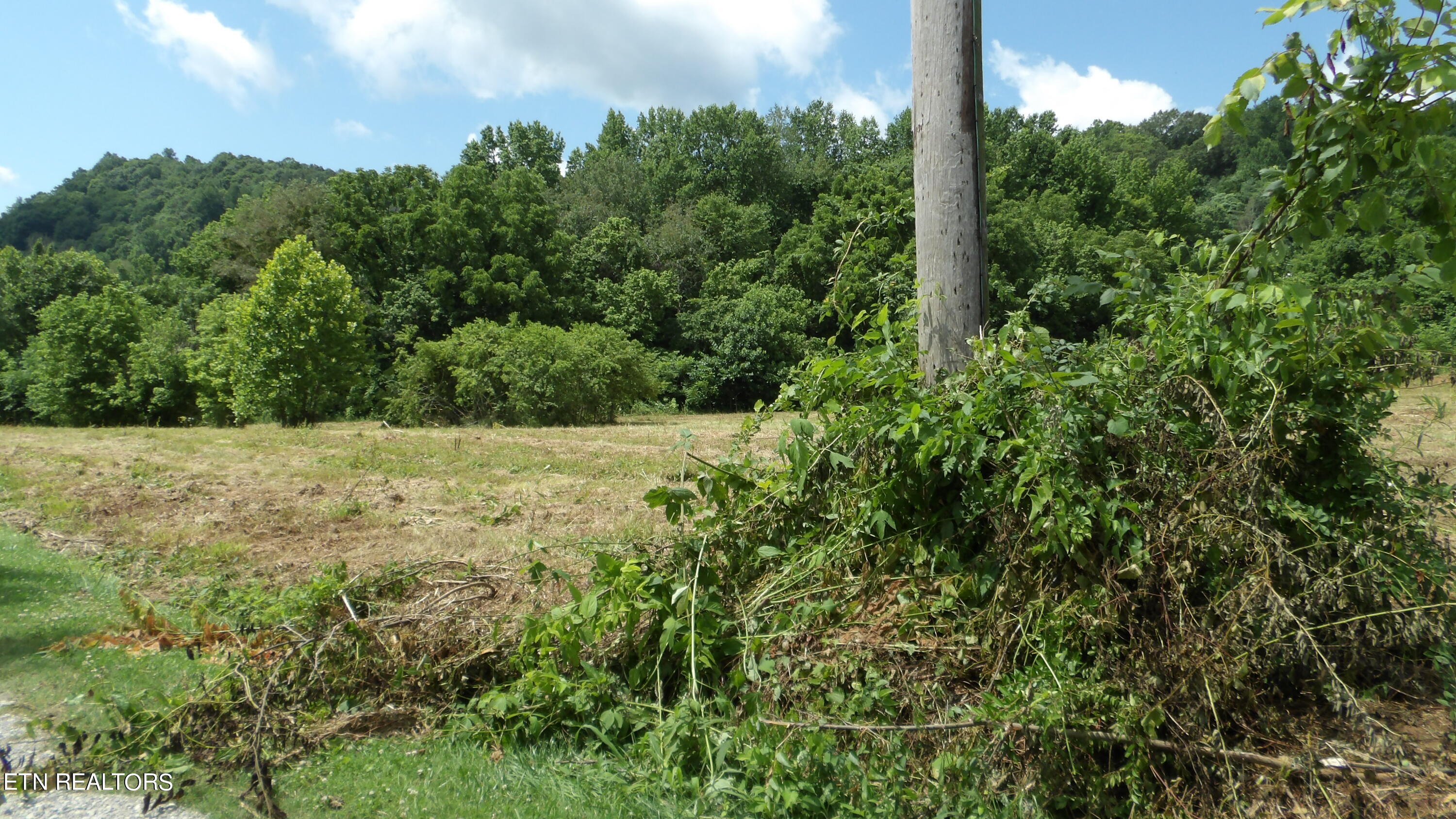 5.6 Ac Lonnie Reecer Rd Property Photo 5