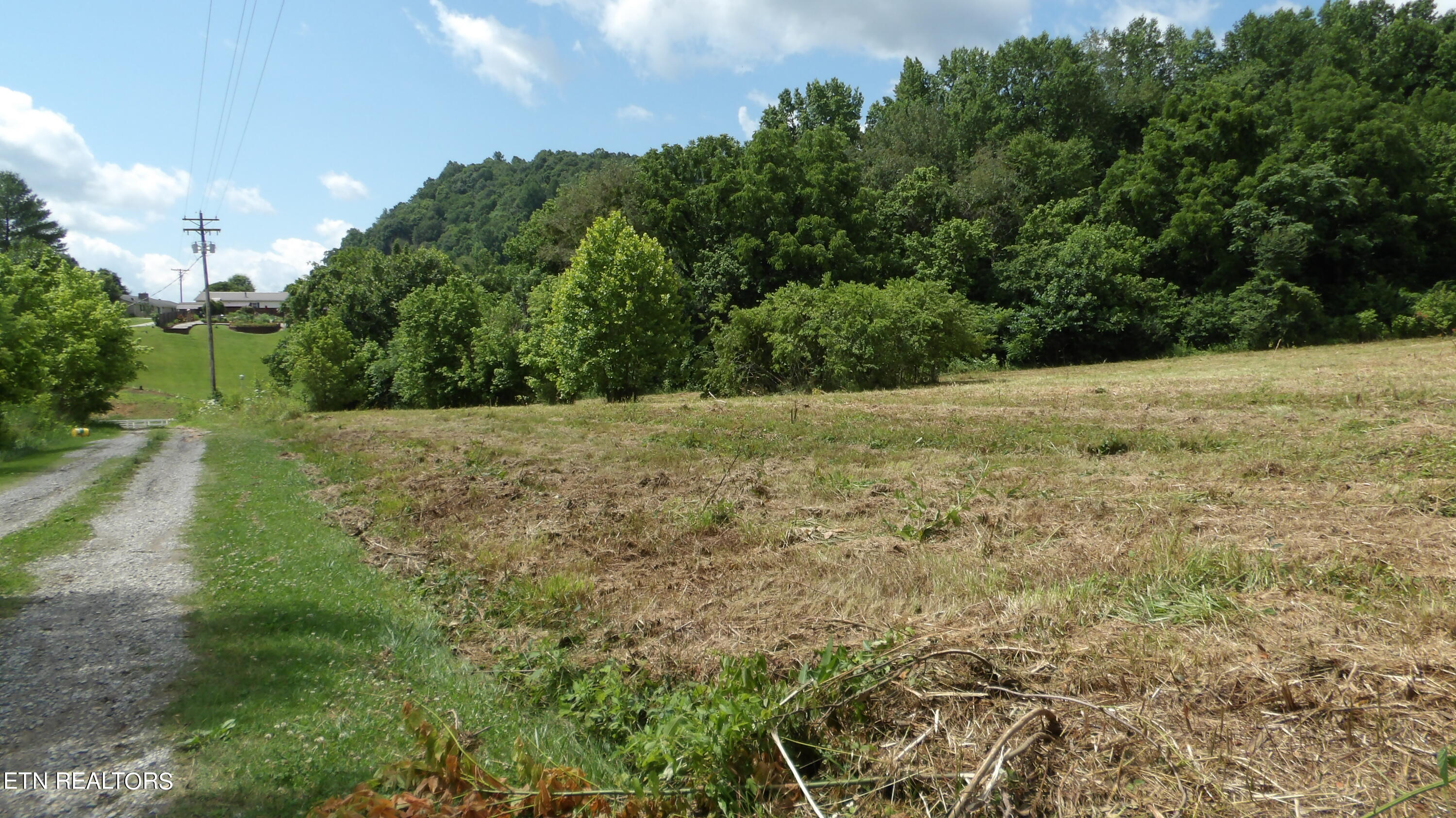 5.6 Ac Lonnie Reecer Rd Property Photo 6