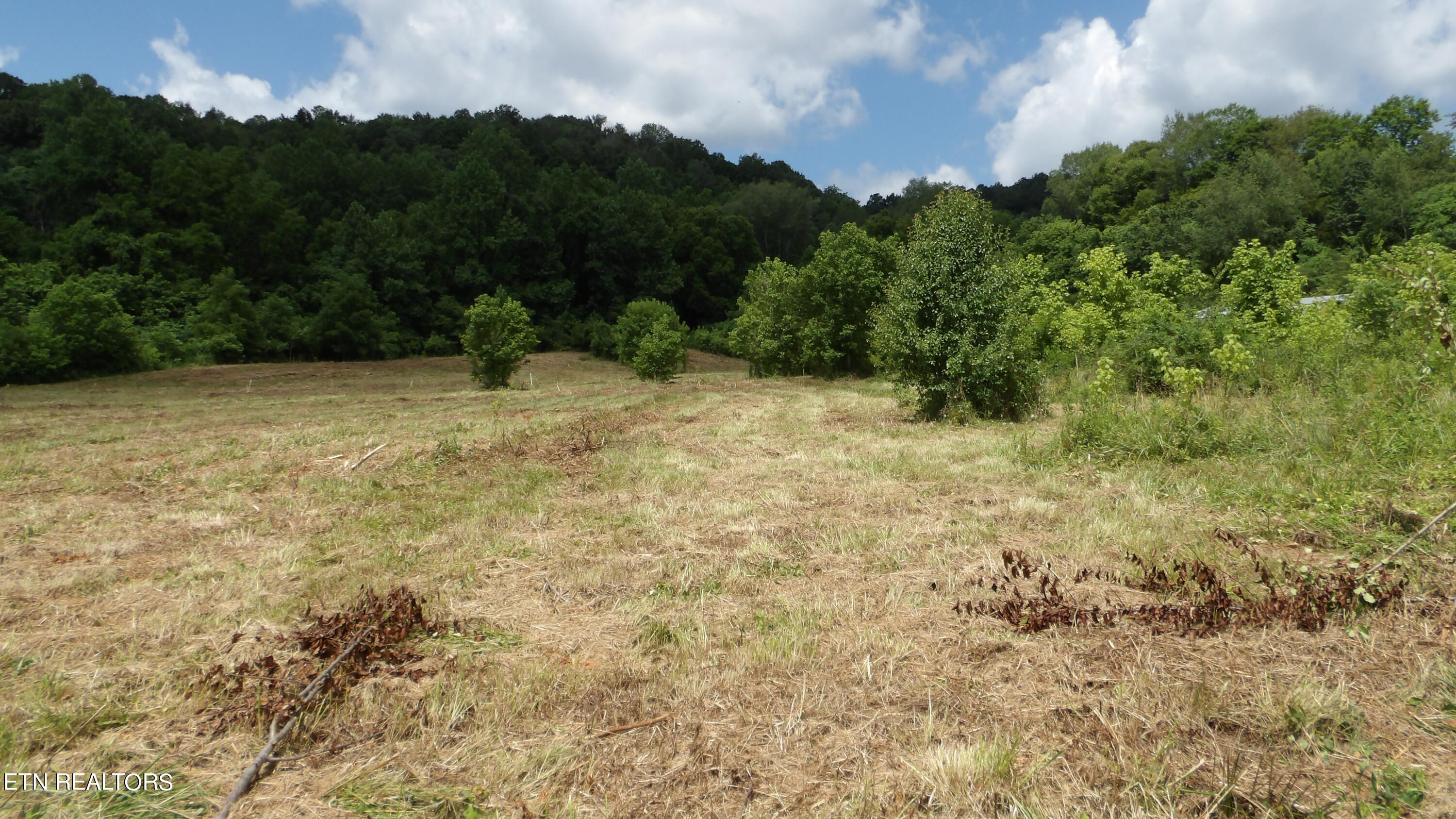 5.6 Ac Lonnie Reecer Rd Property Photo 7