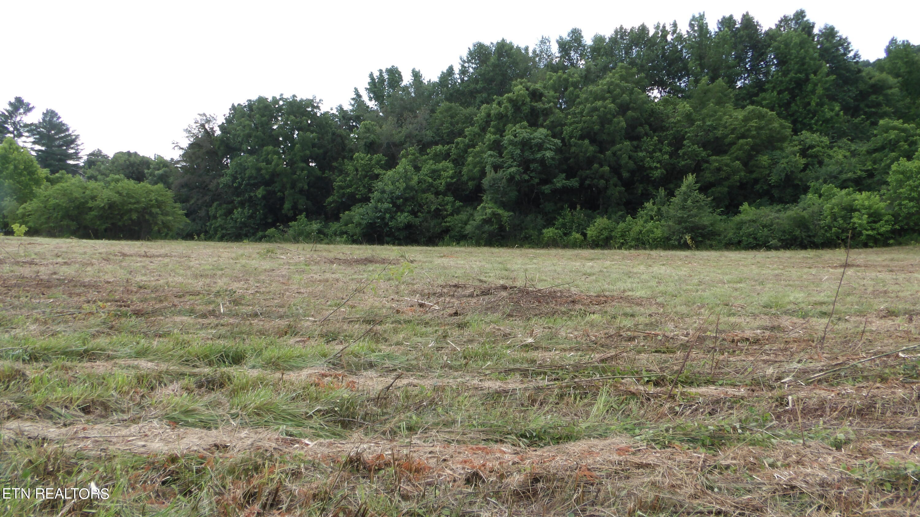 5.6 Ac Lonnie Reecer Rd Property Photo 8