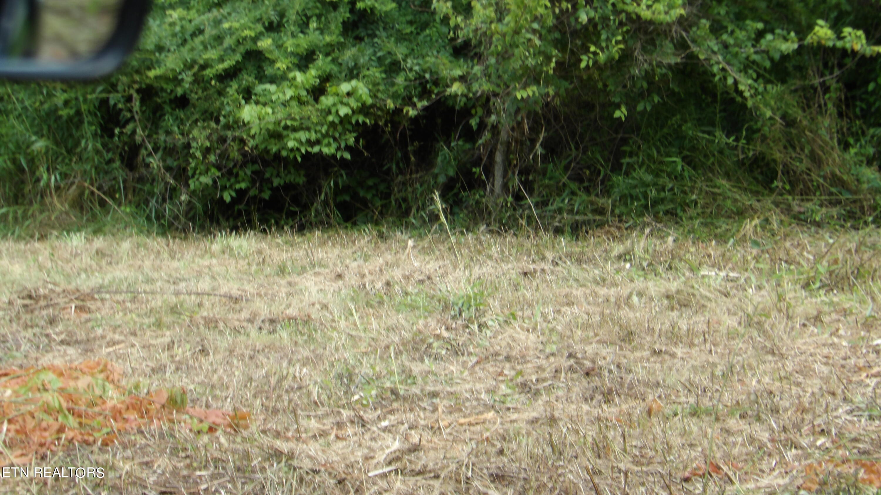 5.6 Ac Lonnie Reecer Rd Property Photo 10