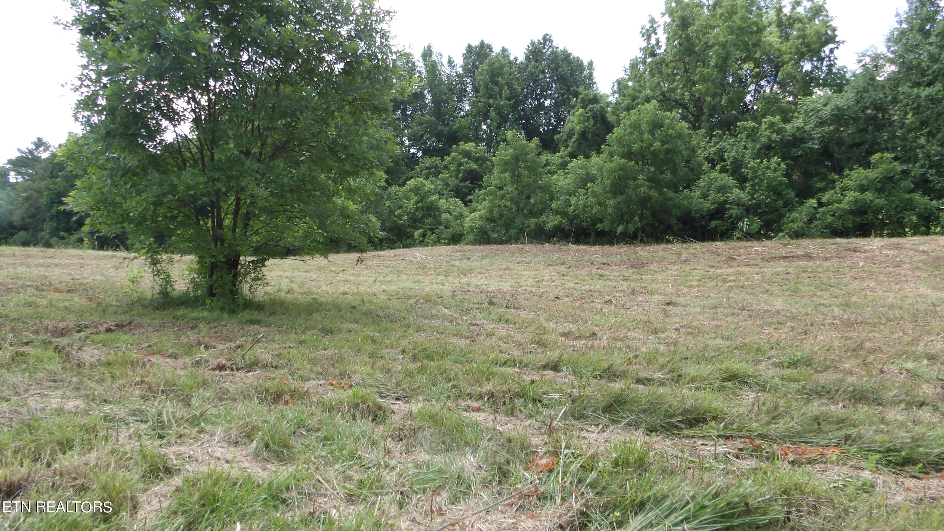 5.6 Ac Lonnie Reecer Rd Property Photo 11