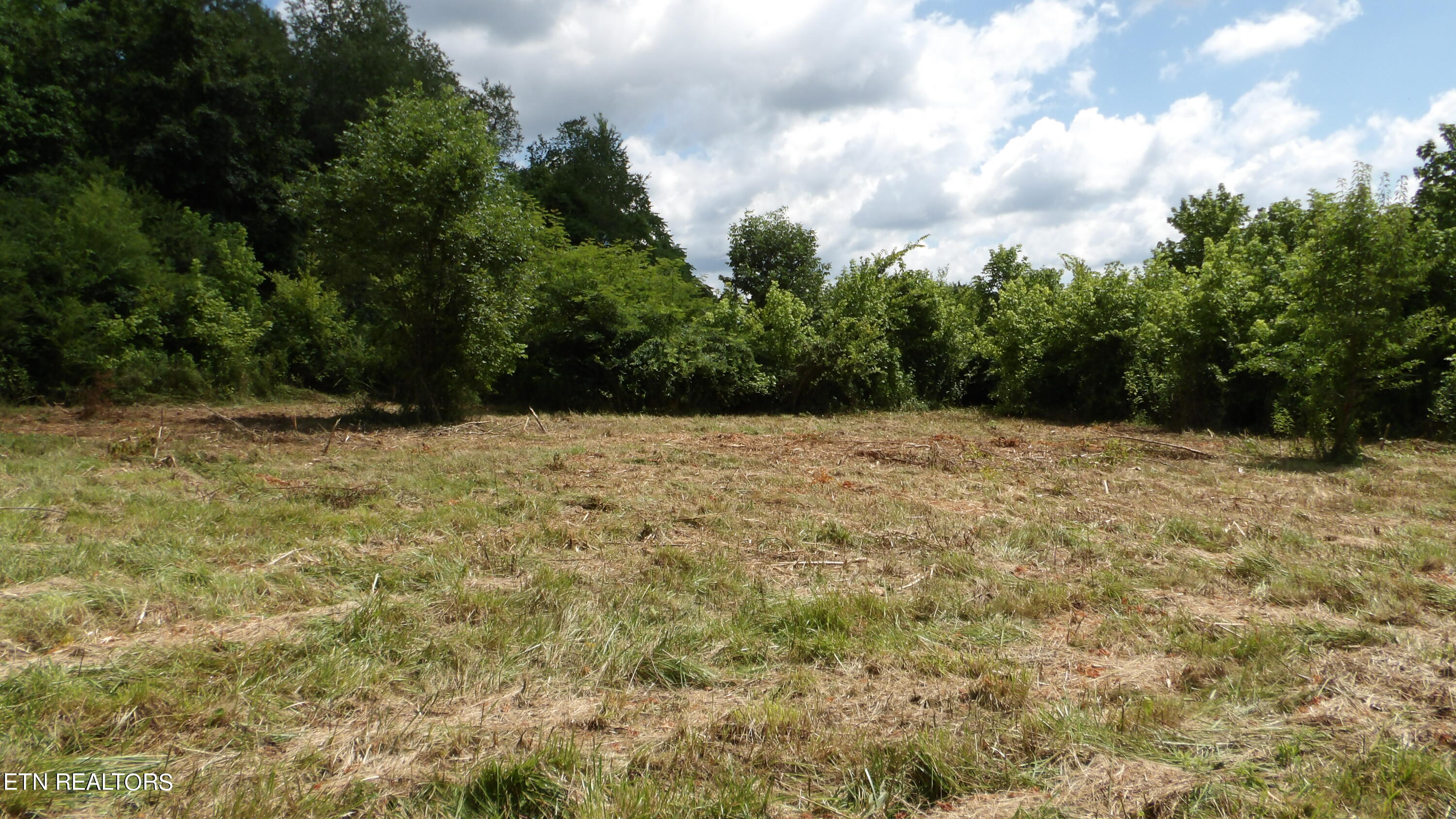 5.6 Ac Lonnie Reecer Rd Property Photo 12