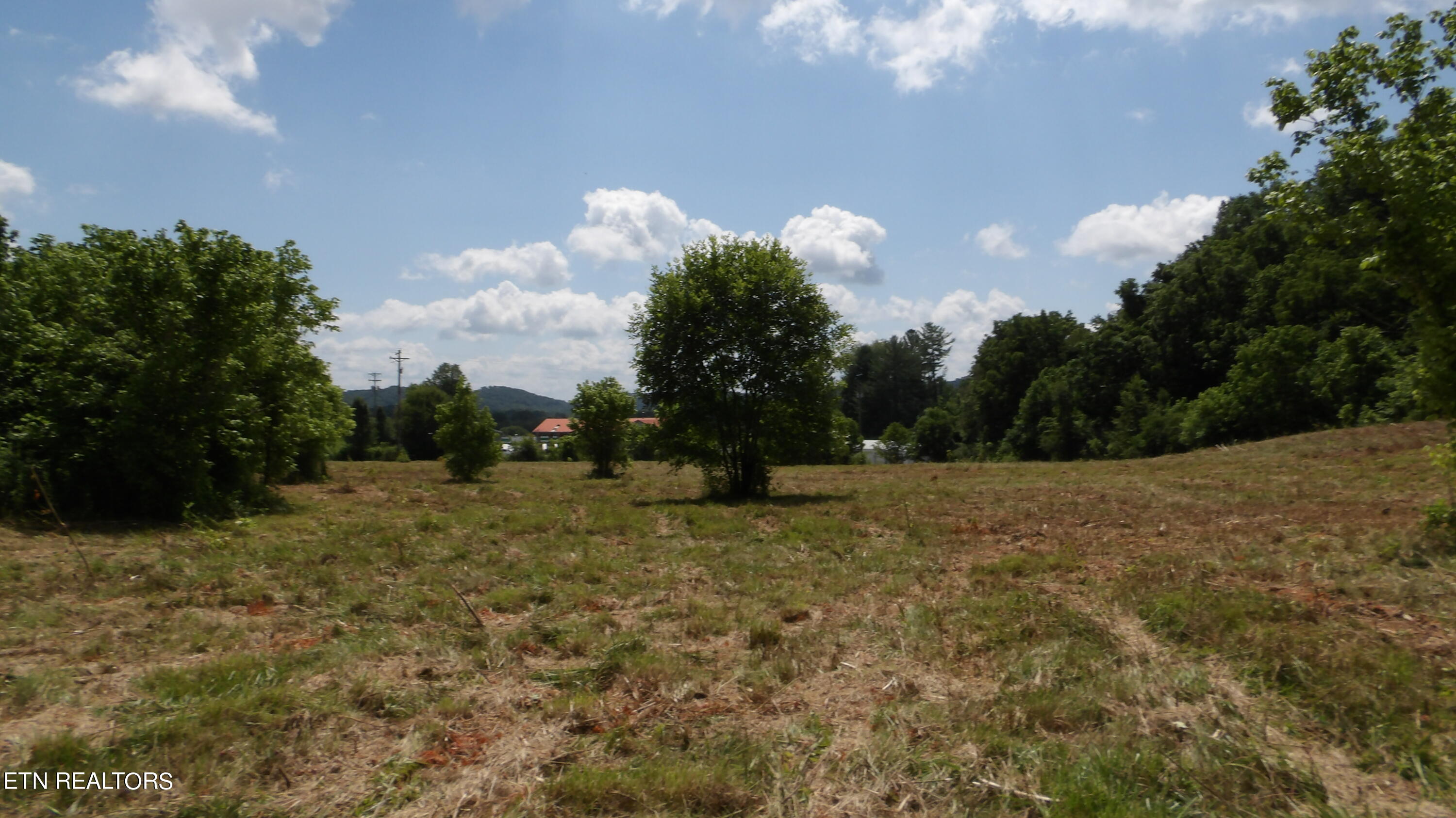 5.6 Ac Lonnie Reecer Rd Property Photo 13