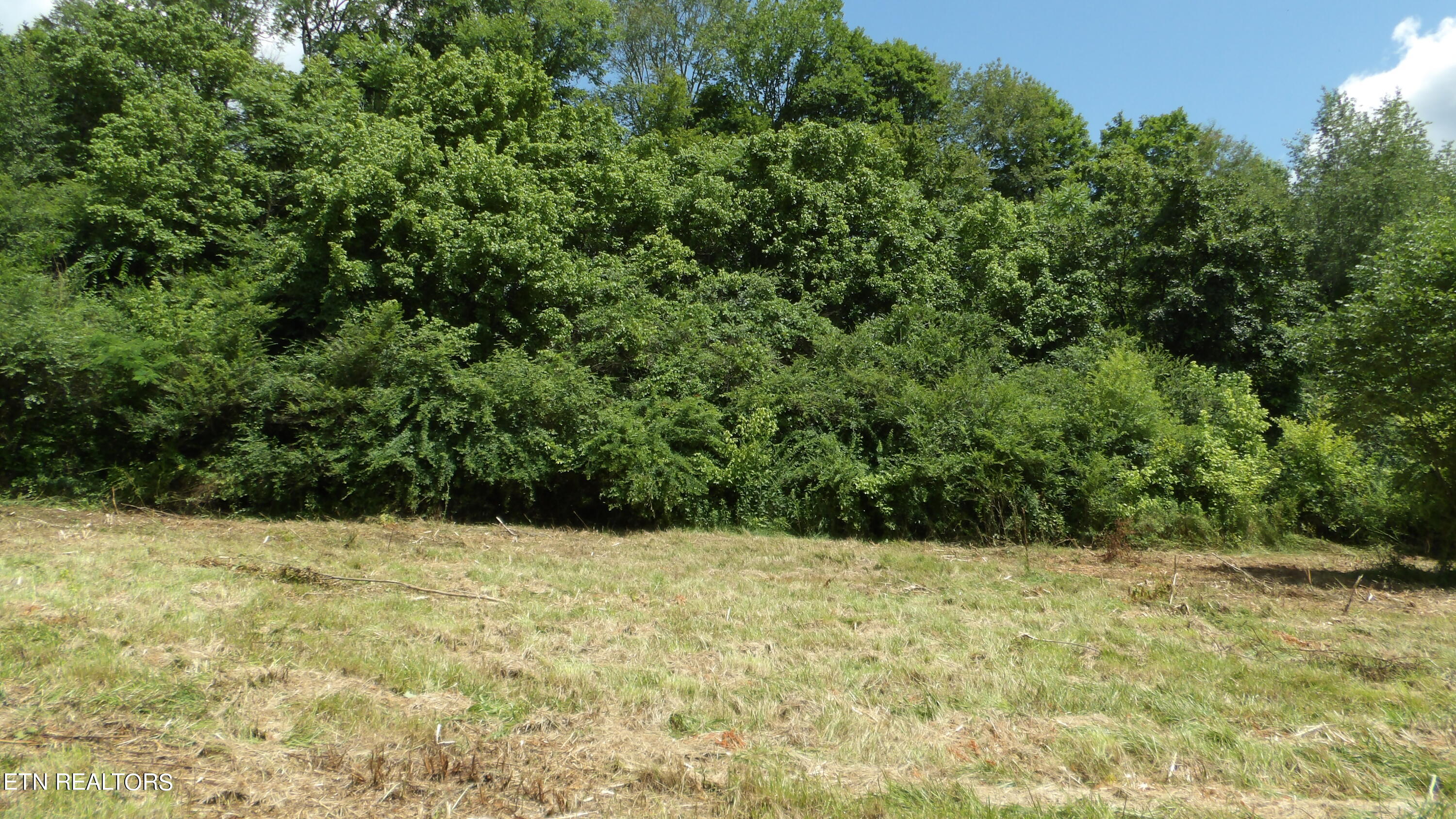 5.6 Ac Lonnie Reecer Rd Property Photo 14