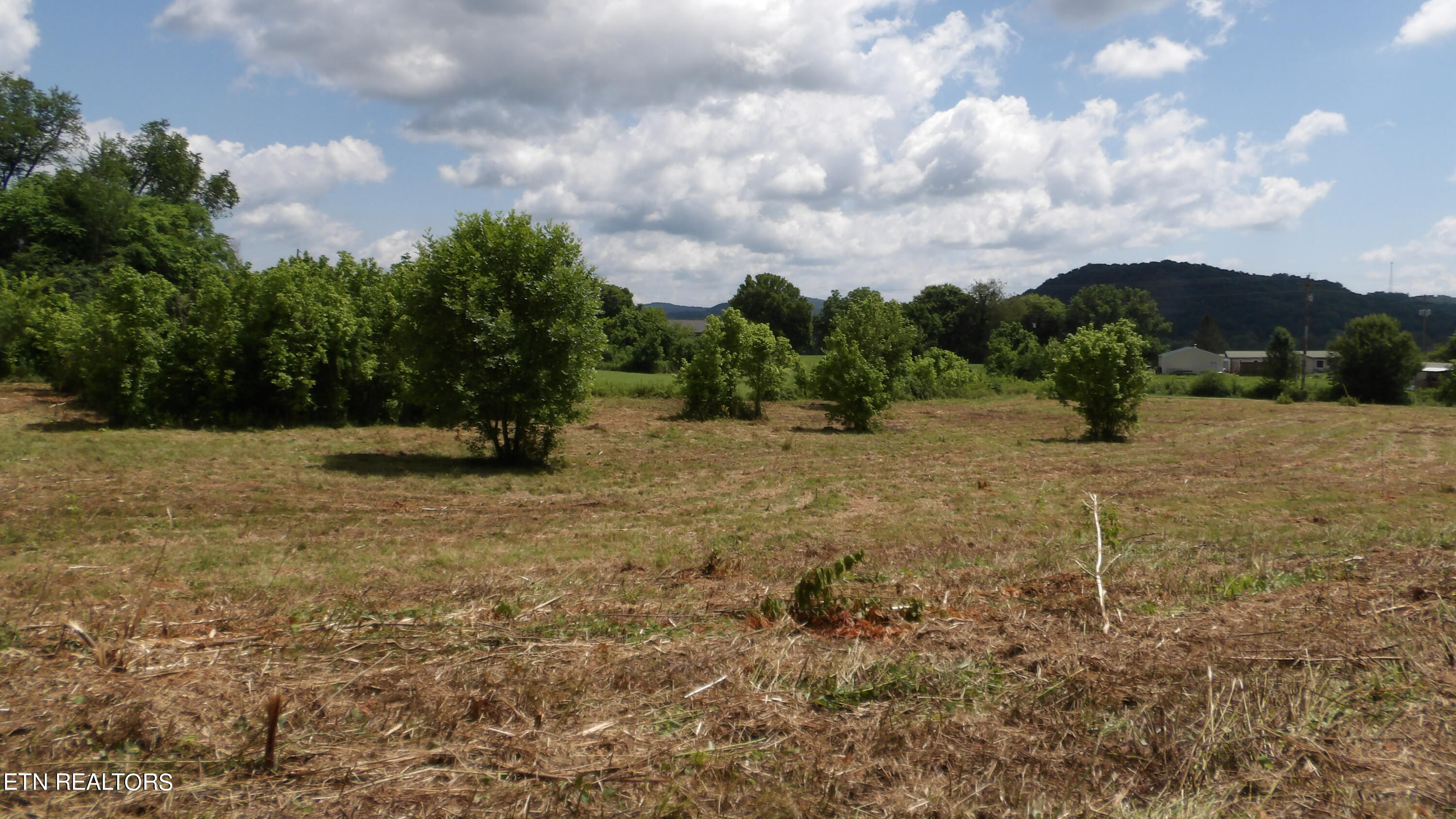 5.6 Ac Lonnie Reecer Rd Property Photo 15