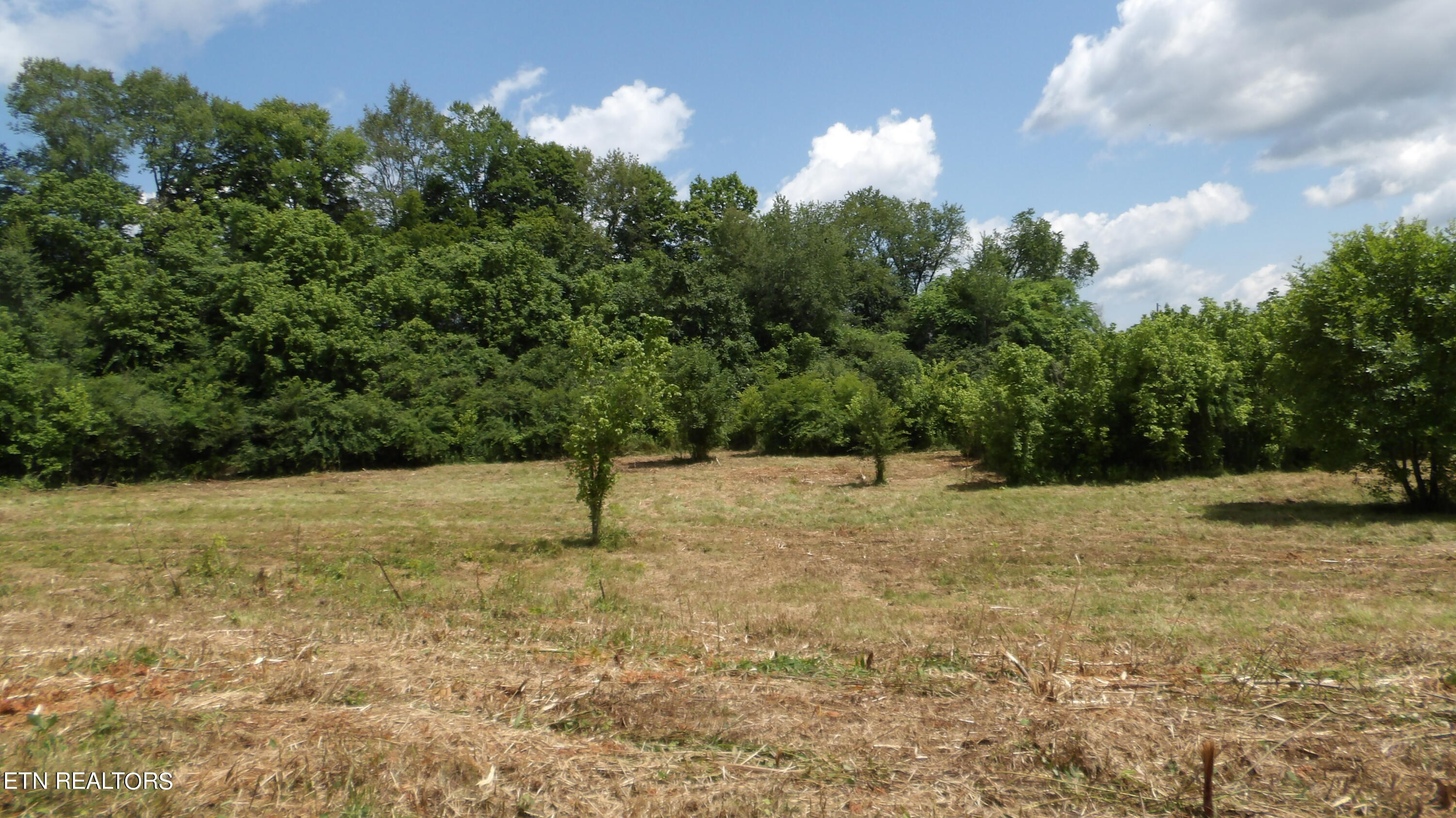 5.6 Ac Lonnie Reecer Rd Property Photo 16