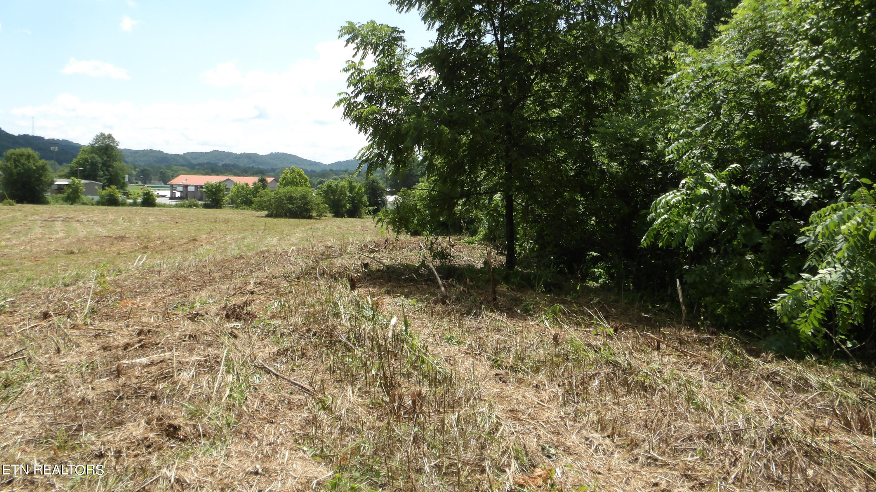 5.6 Ac Lonnie Reecer Rd Property Photo 17