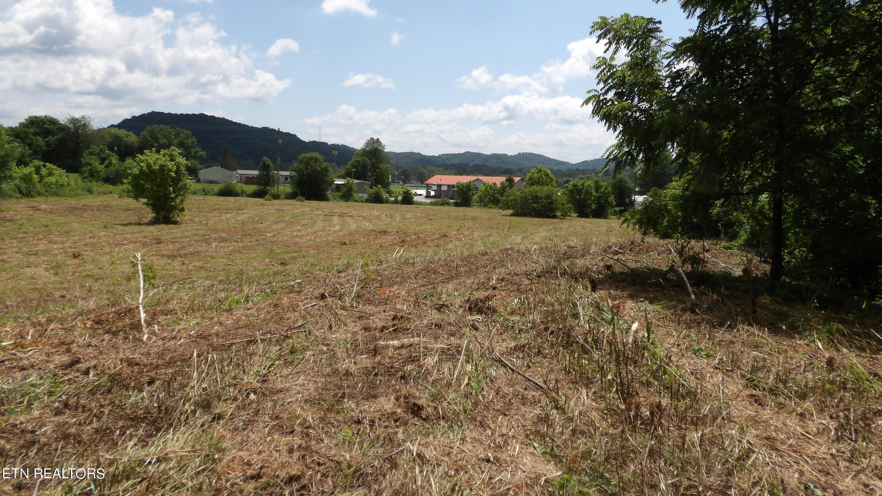 5.6 Ac Lonnie Reecer Rd Property Photo 18