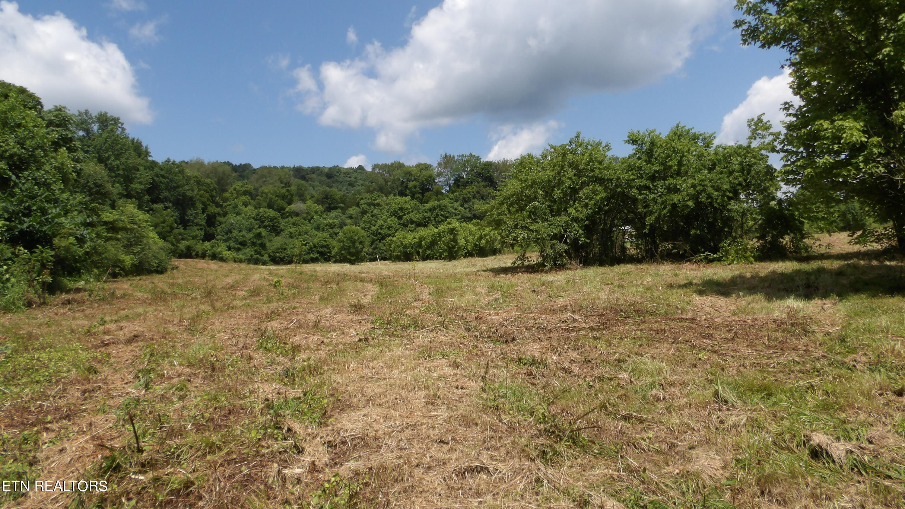 5.6 Ac Lonnie Reecer Rd Property Photo 19