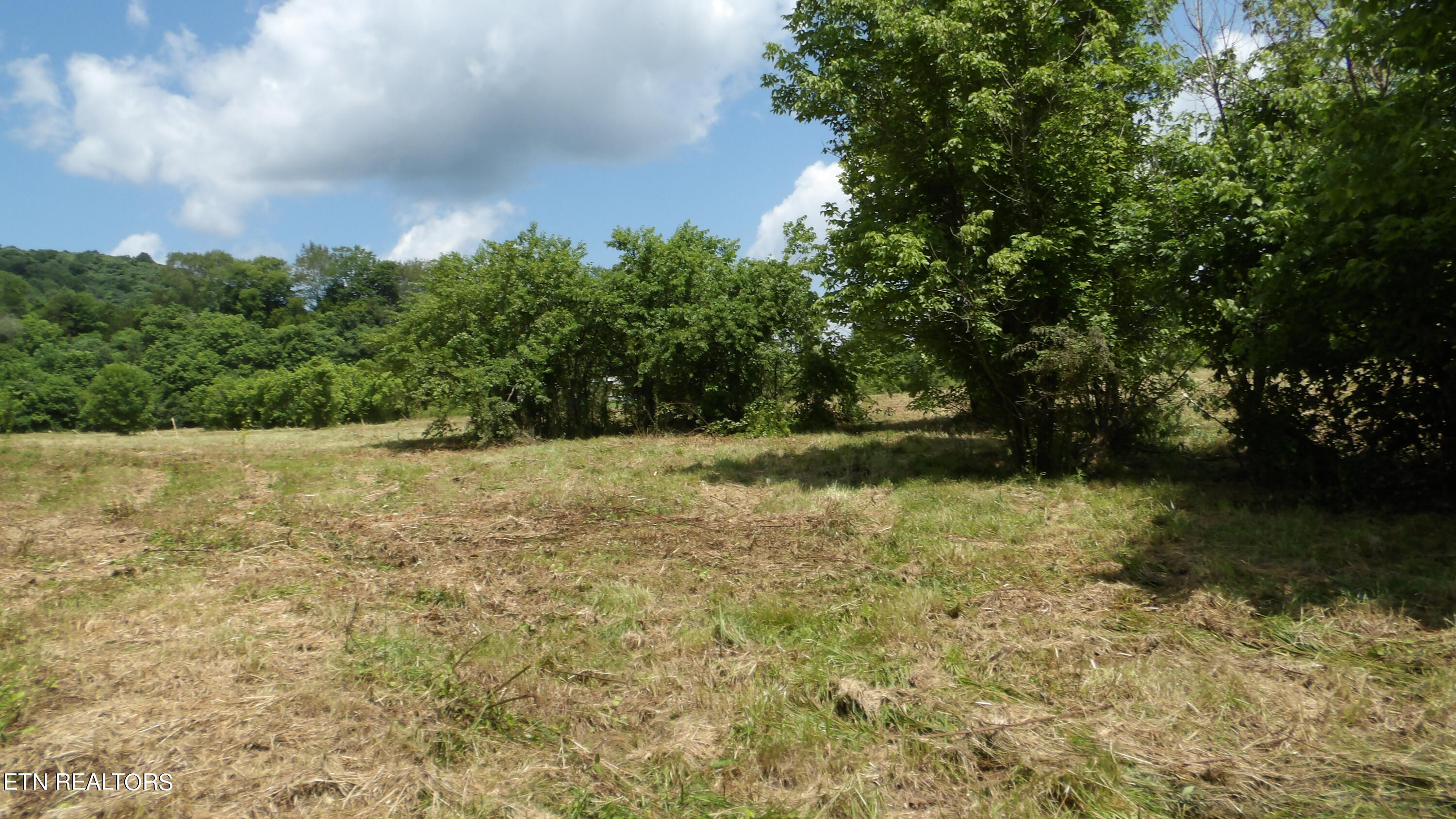 5.6 Ac Lonnie Reecer Rd Property Photo 20