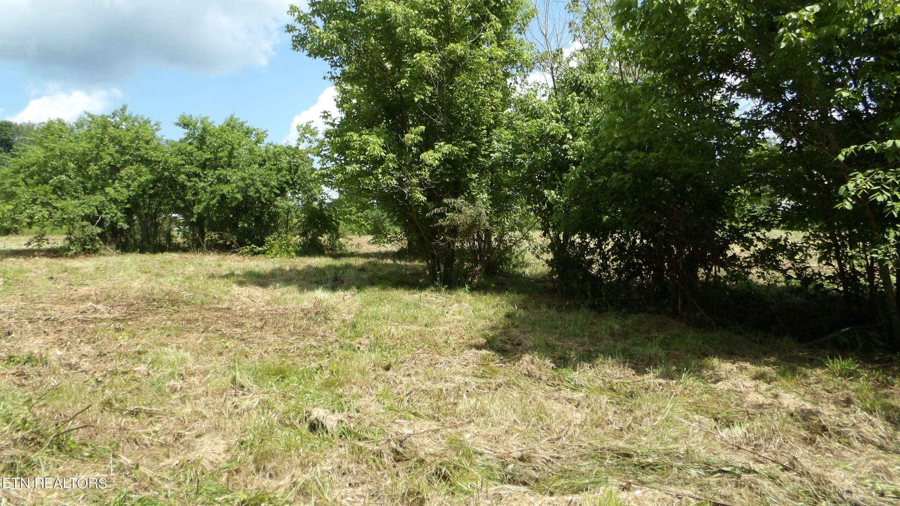 5.6 Ac Lonnie Reecer Rd Property Photo 21