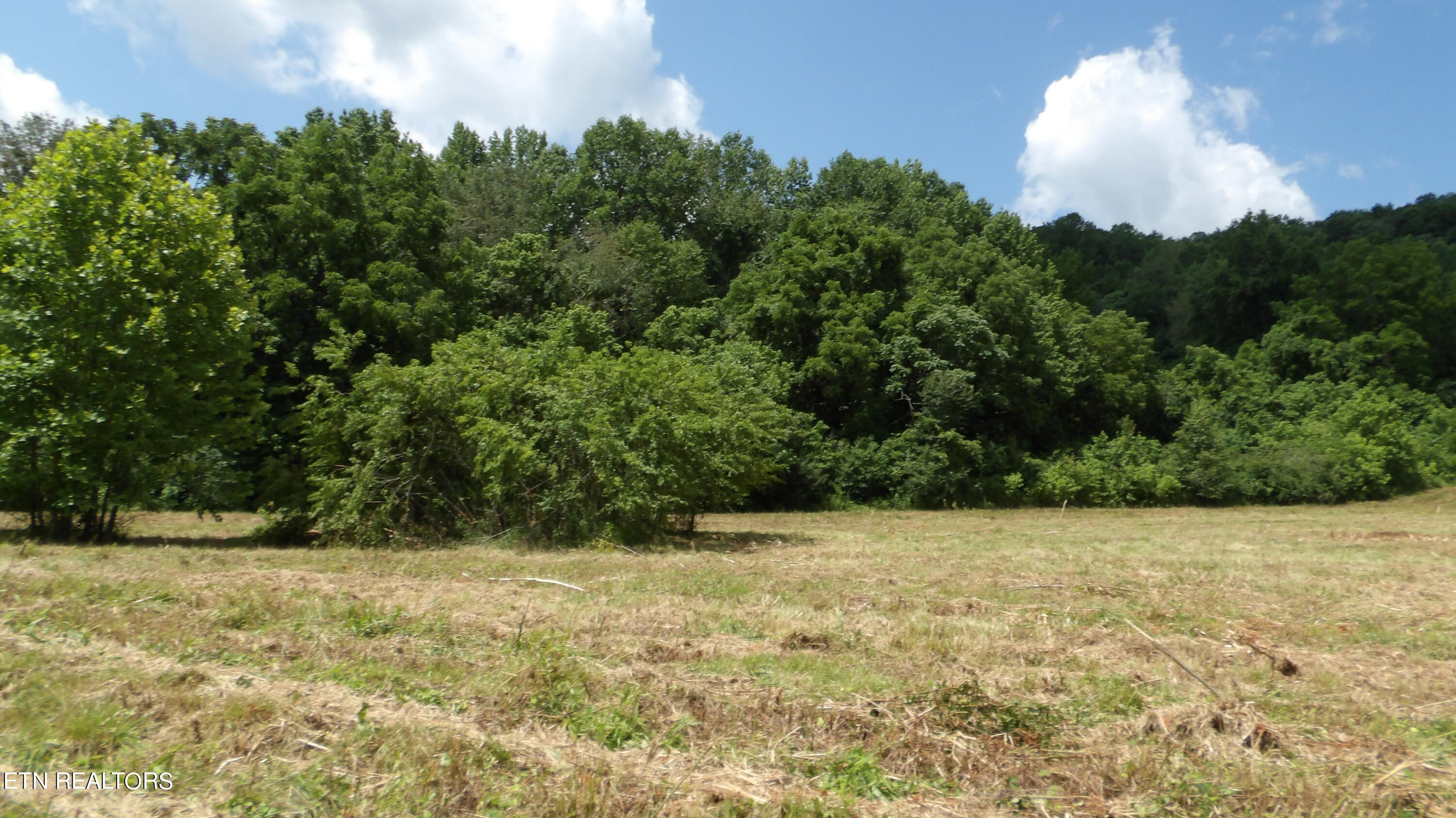 5.6 Ac Lonnie Reecer Rd Property Photo 25