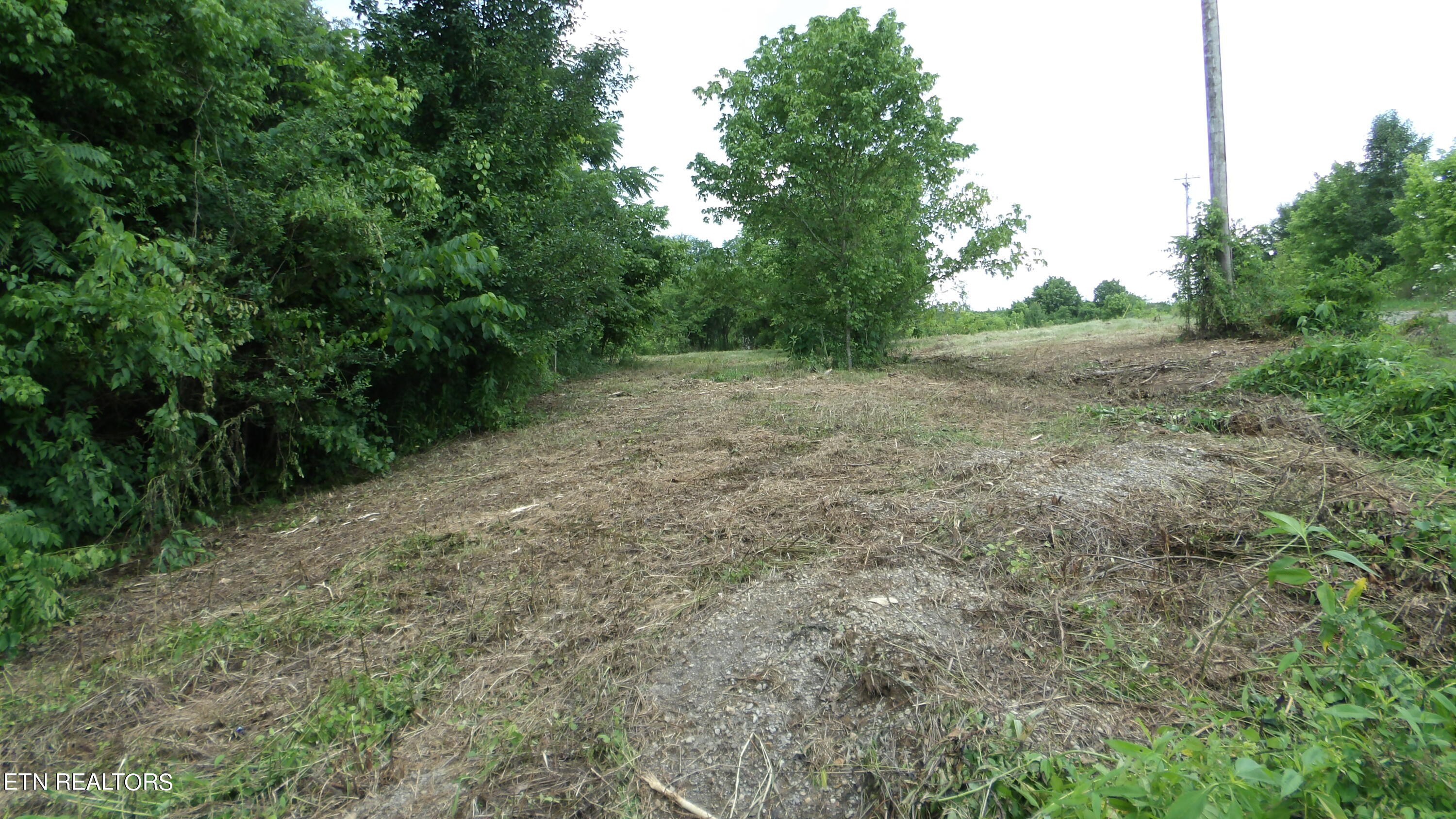 5.6 Ac Lonnie Reecer Rd Property Photo 26