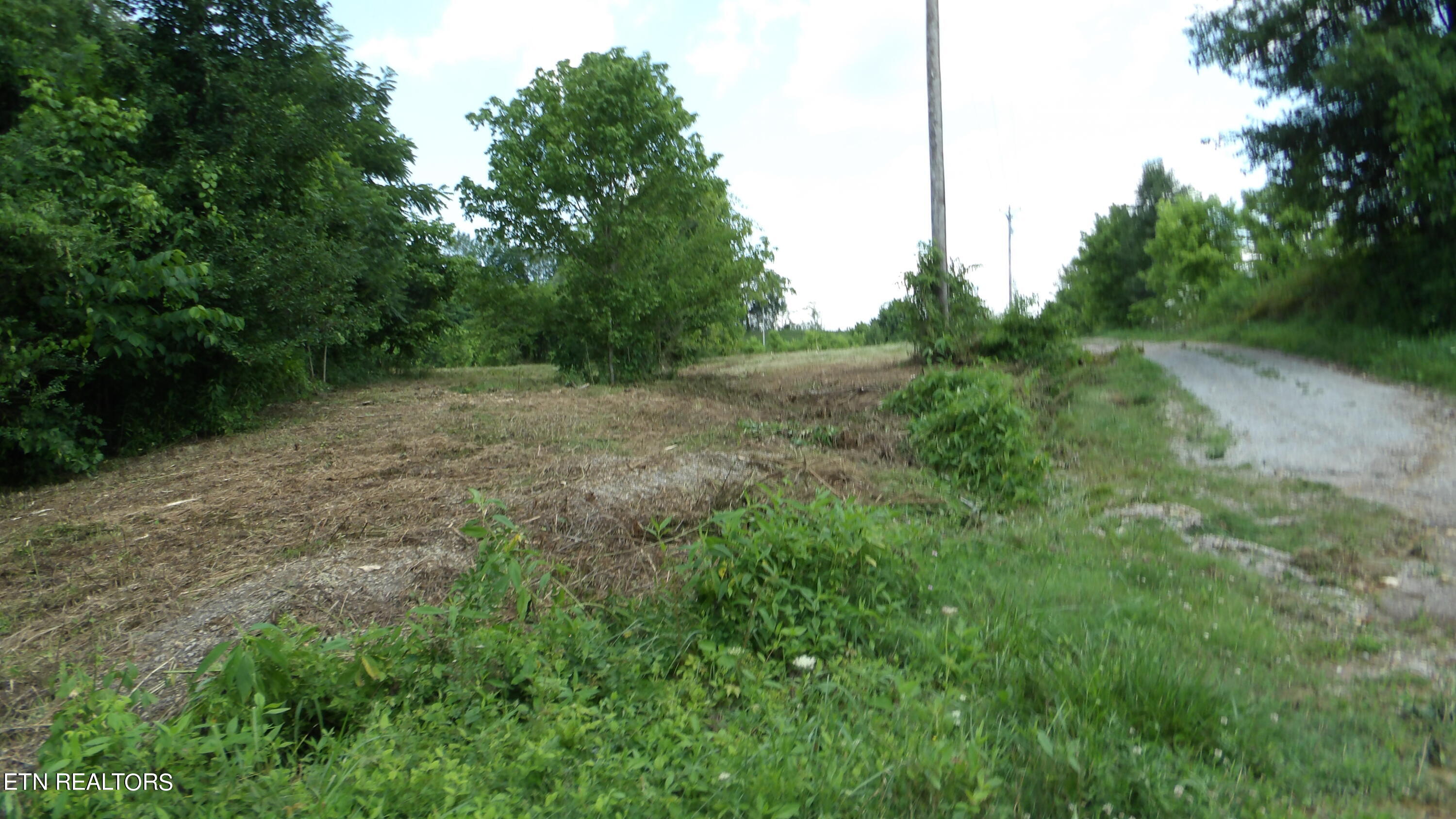 5.6 Ac Lonnie Reecer Rd Property Photo 27
