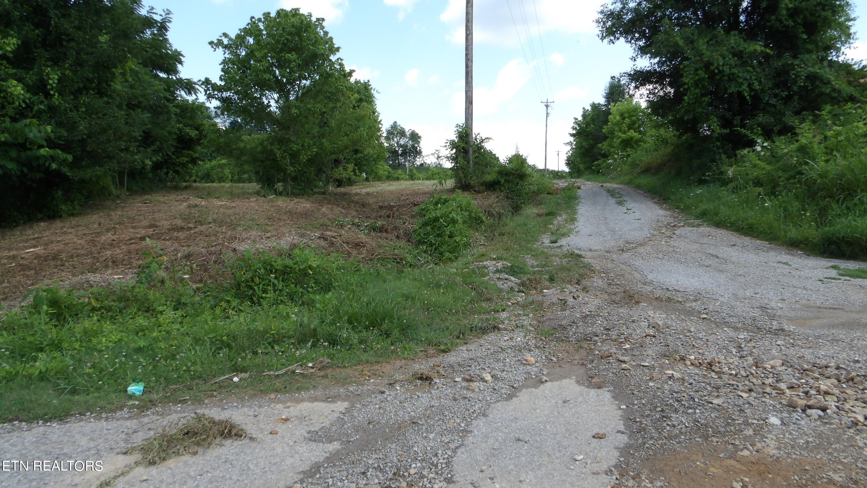 5.6 Ac Lonnie Reecer Rd Property Photo 28