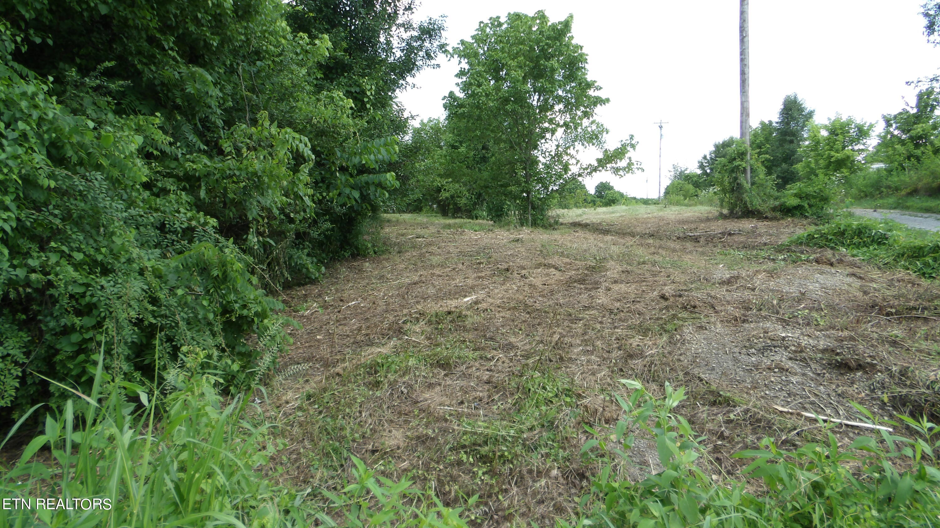 5.6 Ac Lonnie Reecer Rd Property Photo 29