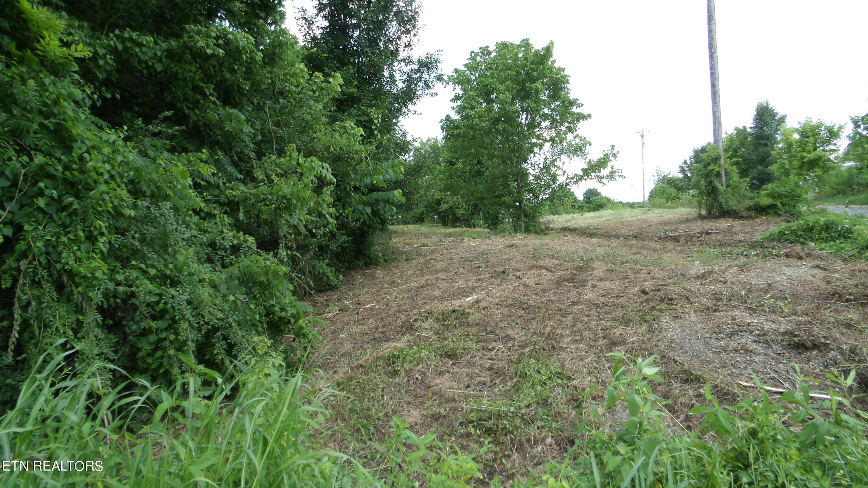 5.6 Ac Lonnie Reecer Rd Property Photo 30
