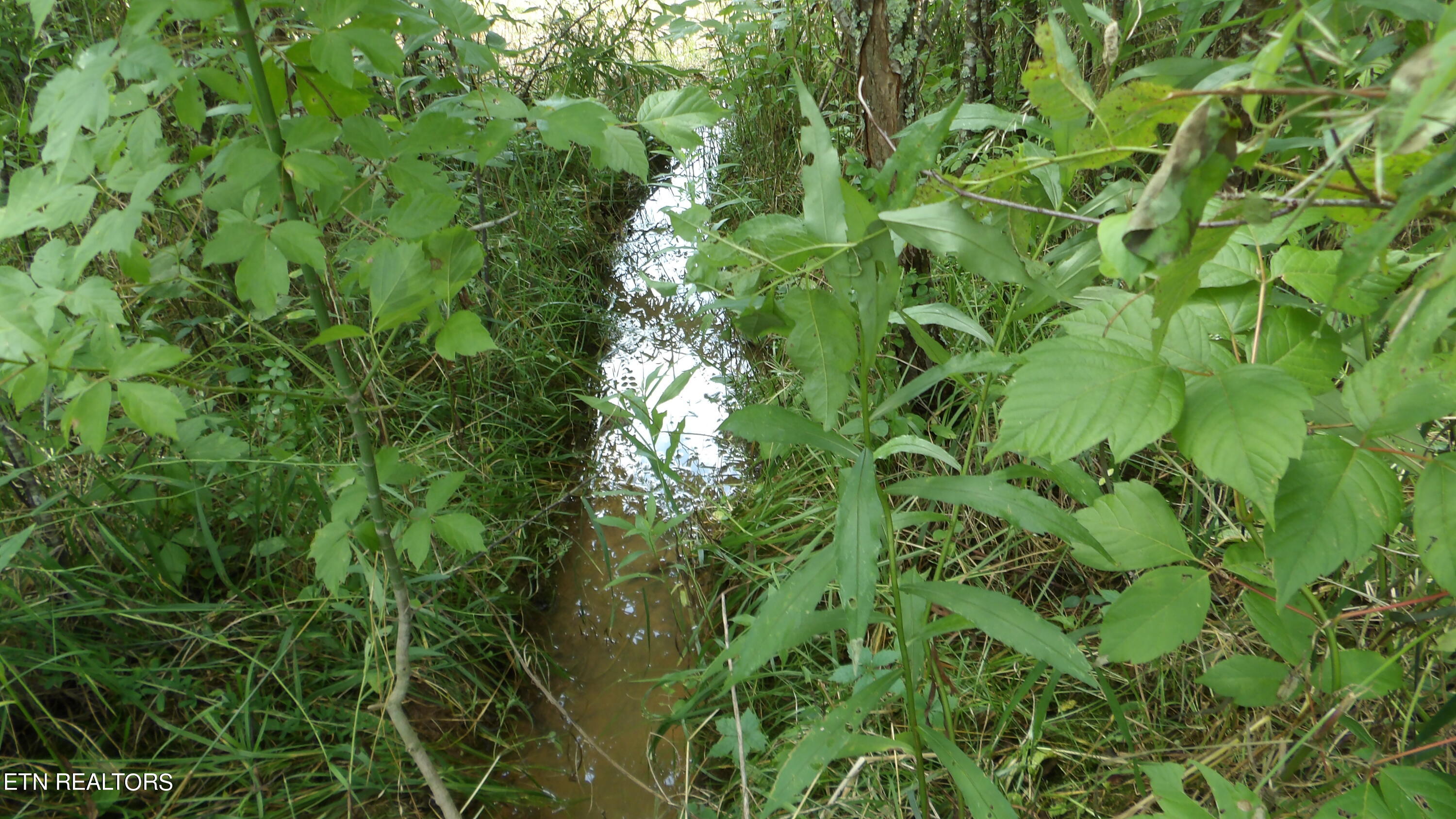 5.6 Ac Lonnie Reecer Rd Property Photo 31