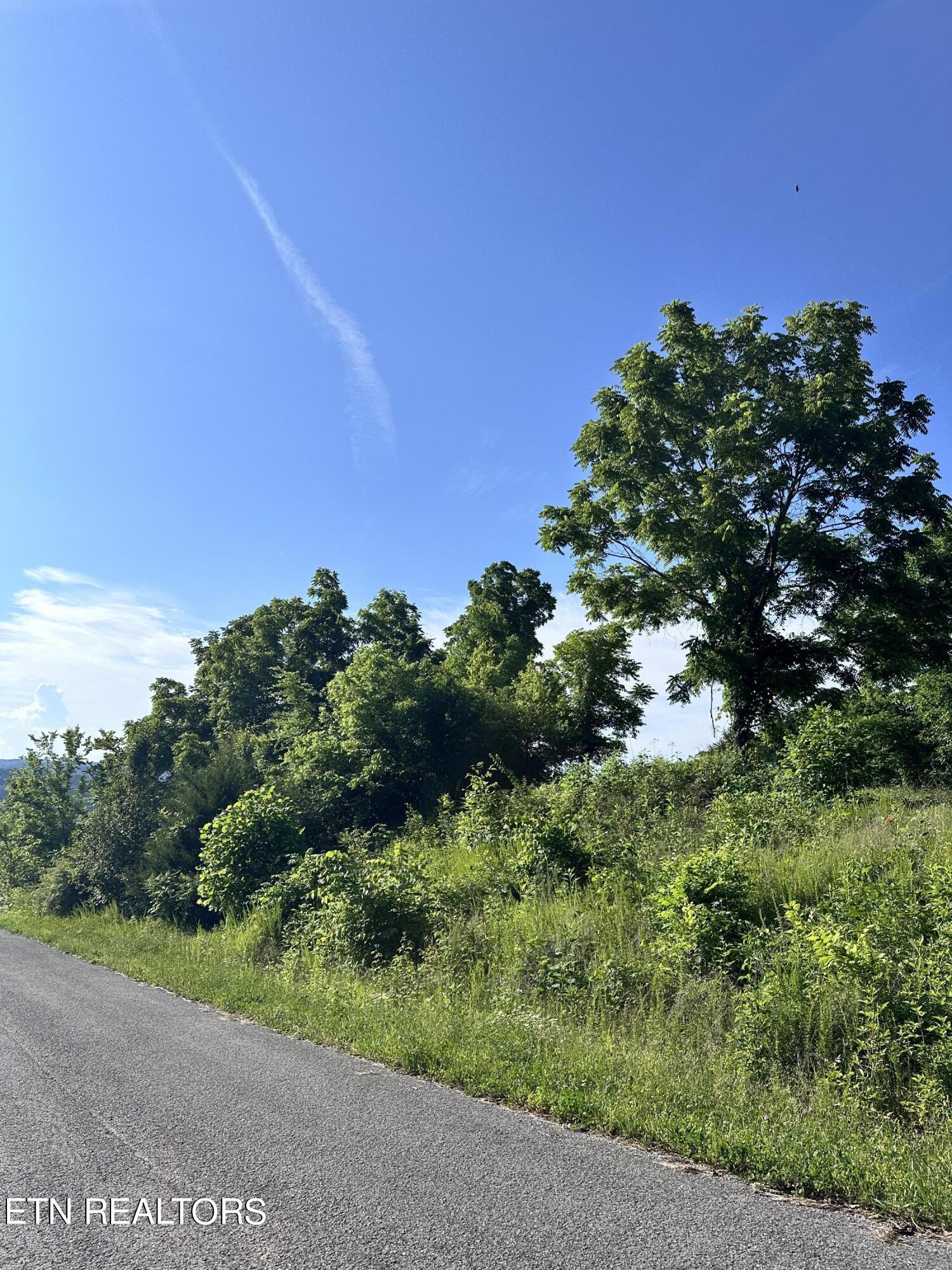 Lot 335a Larayne Hollow Rd Property Photo