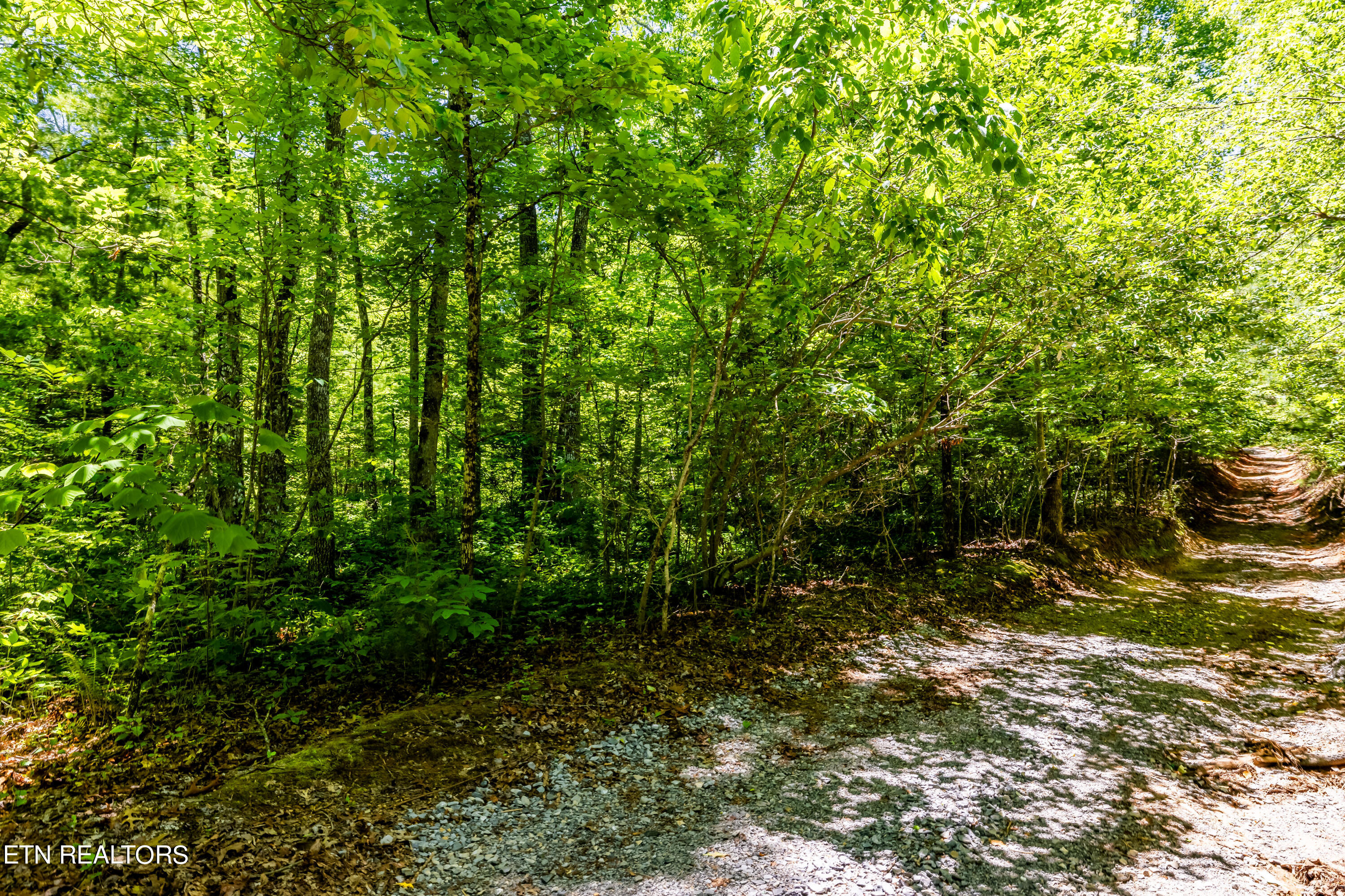 Lot 11 Bobcat Tr Property Photo