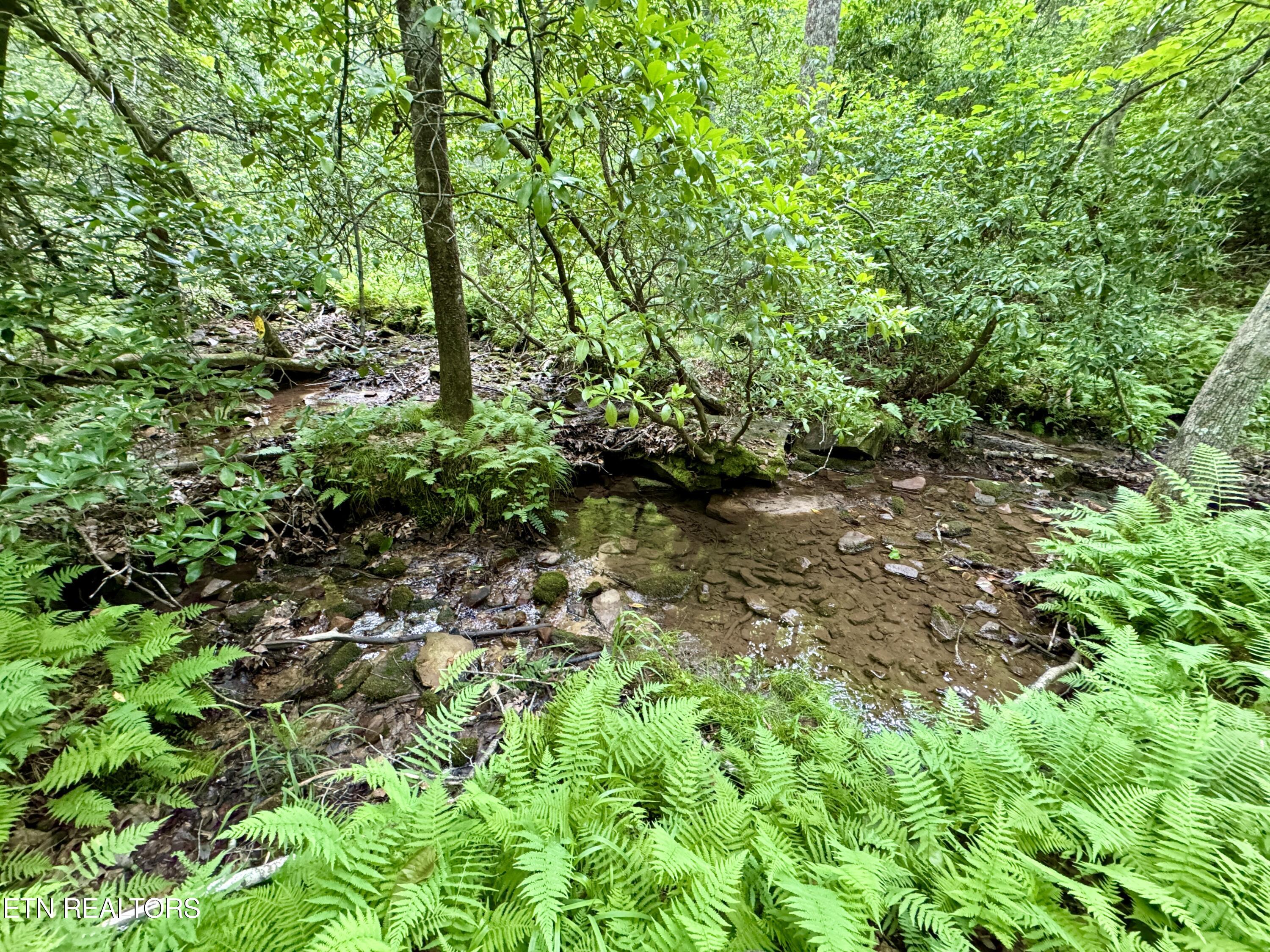 Green Ridge Tr Property Photo 4