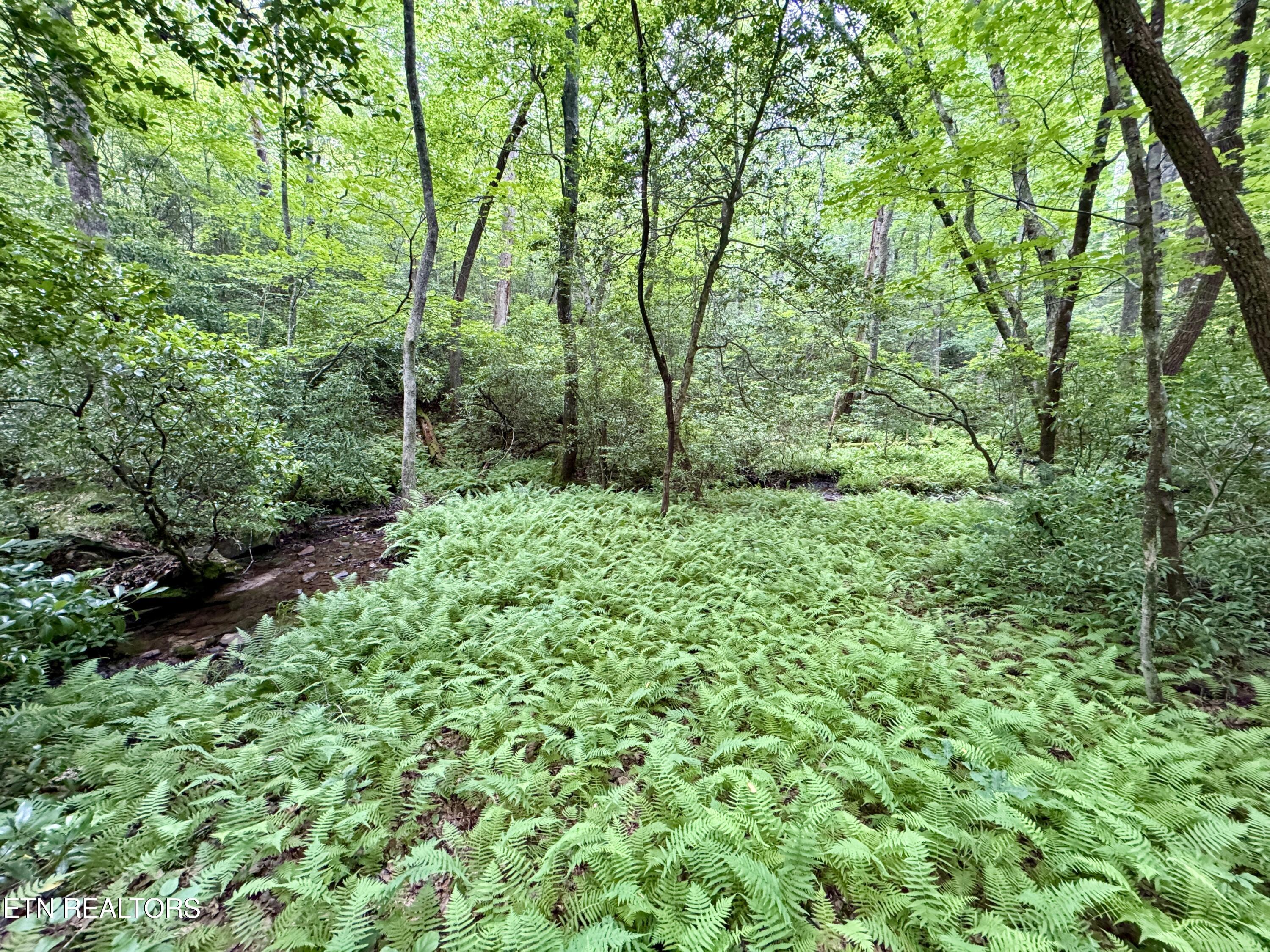 Green Ridge Tr Property Photo 8