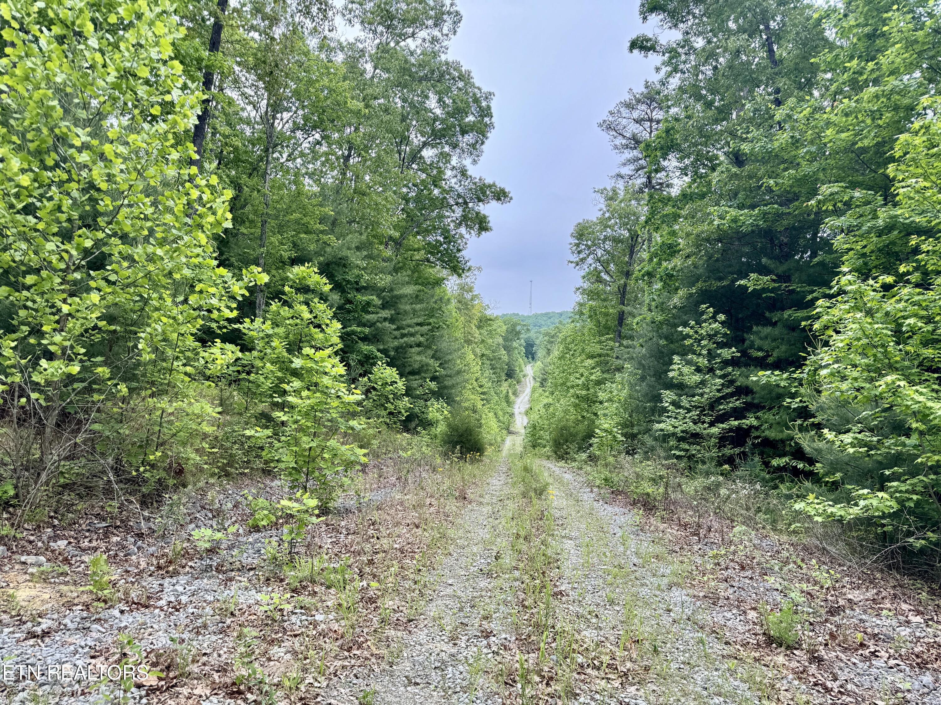 Green Ridge Tr Property Photo 10